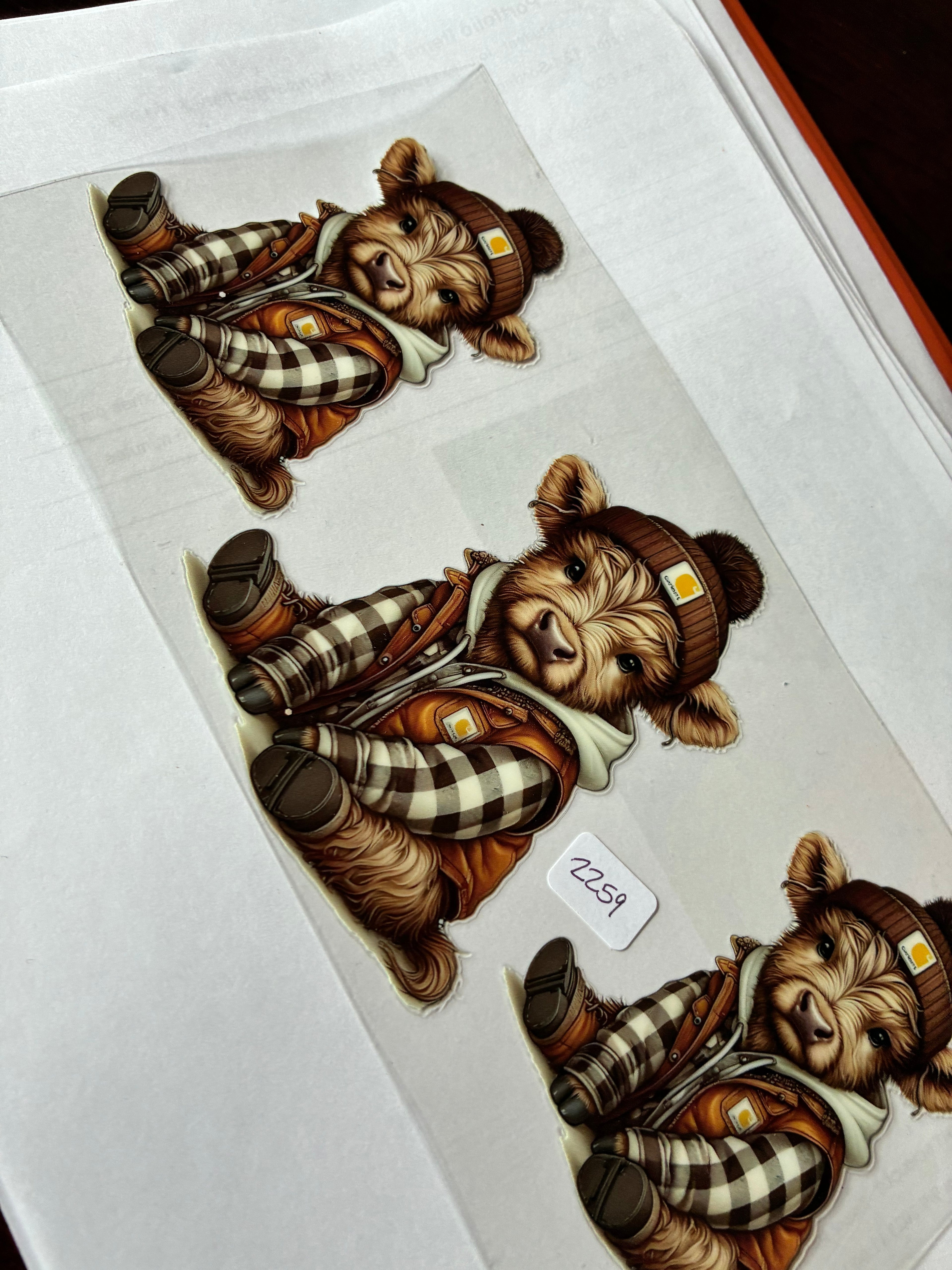 Cow brown 2259