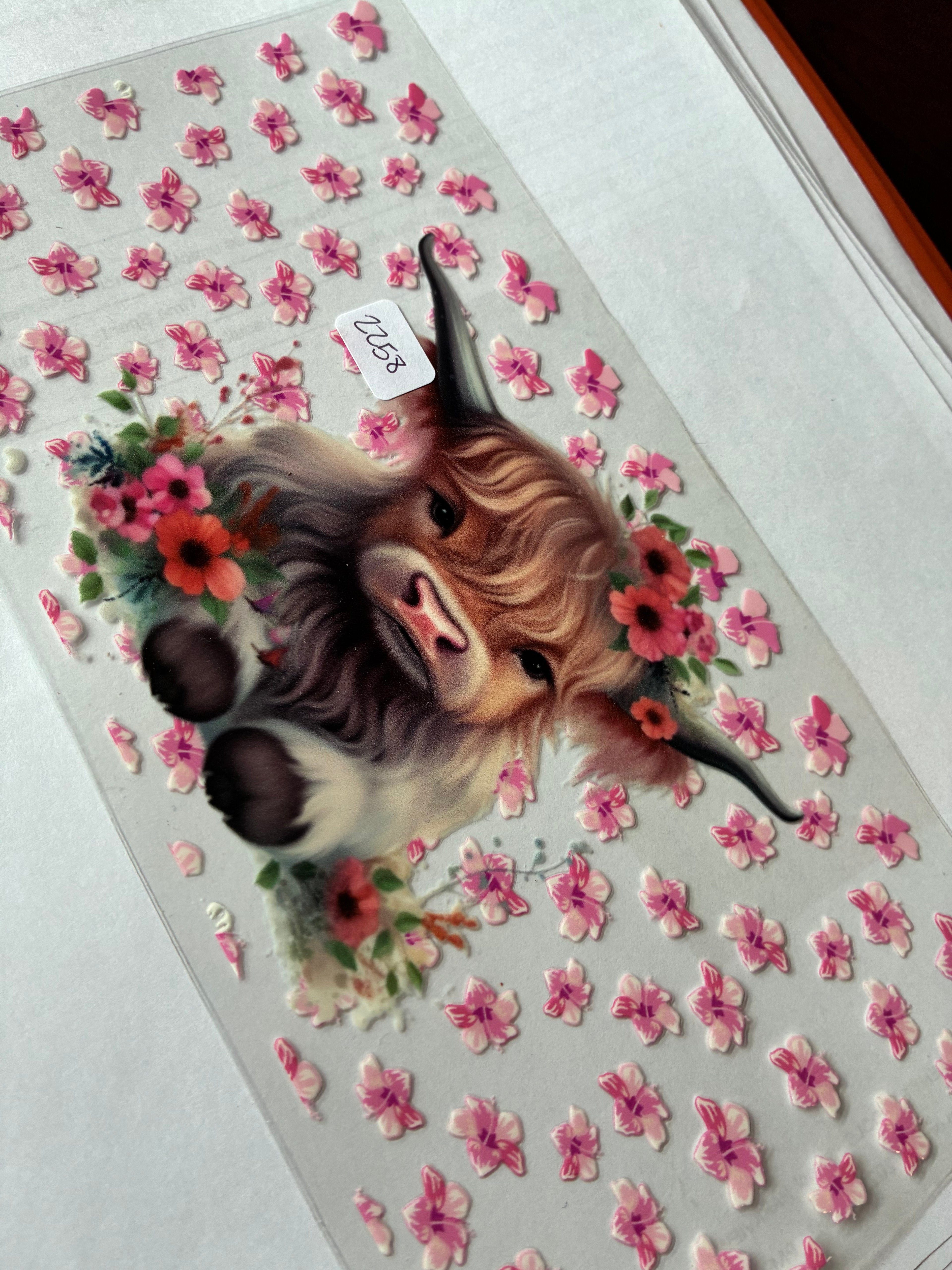 Cow pink flowers 2258
