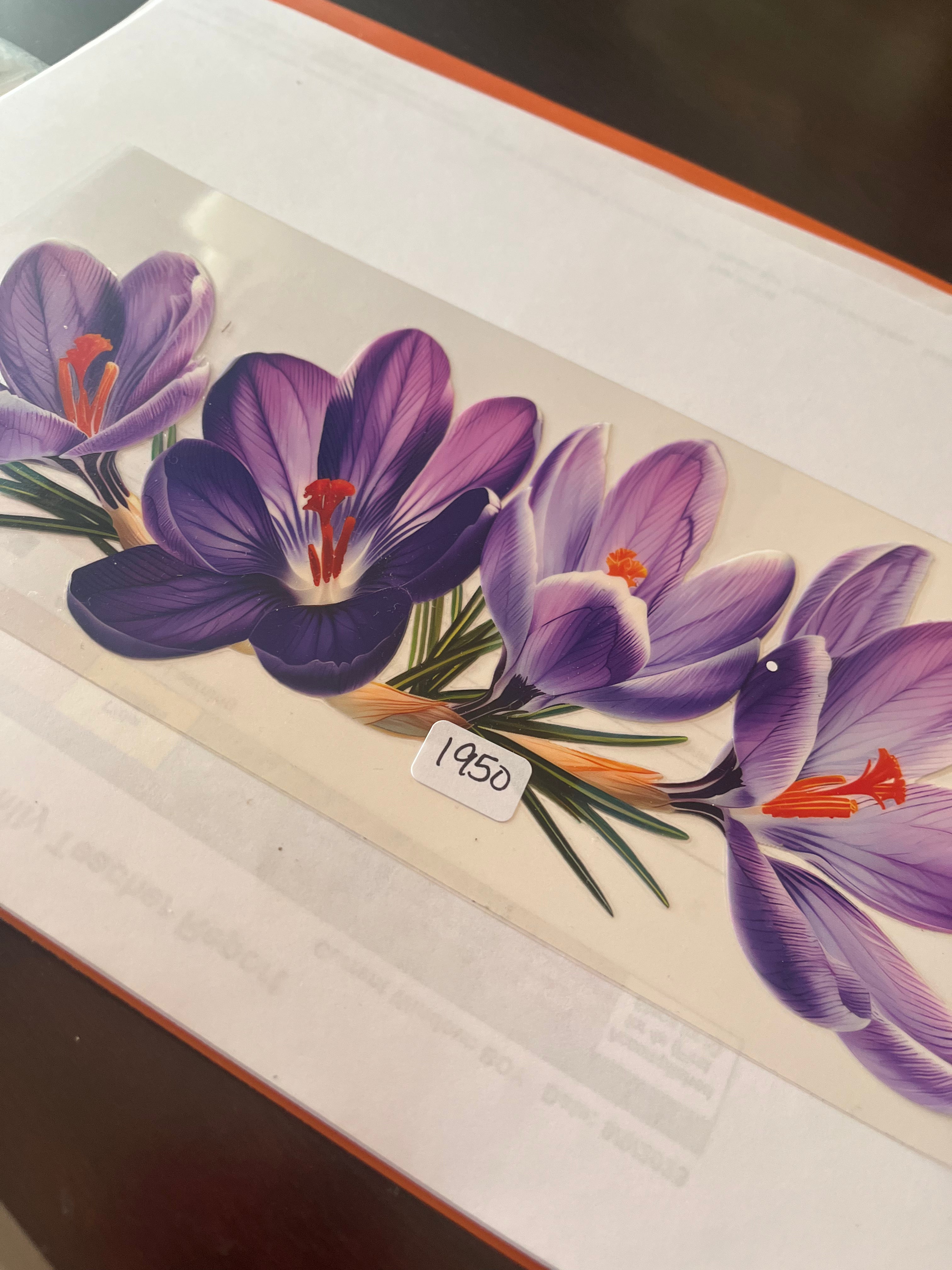 Purple flower 1950