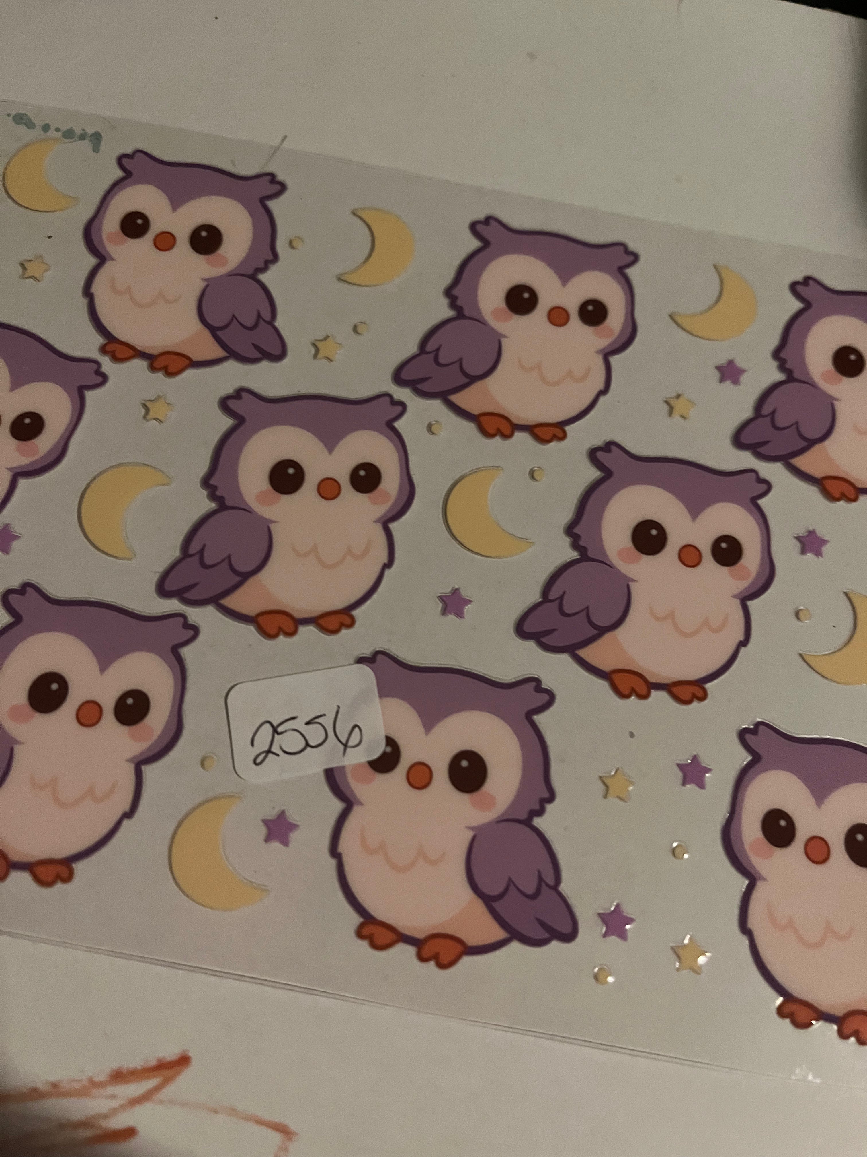 Owl purple 2556