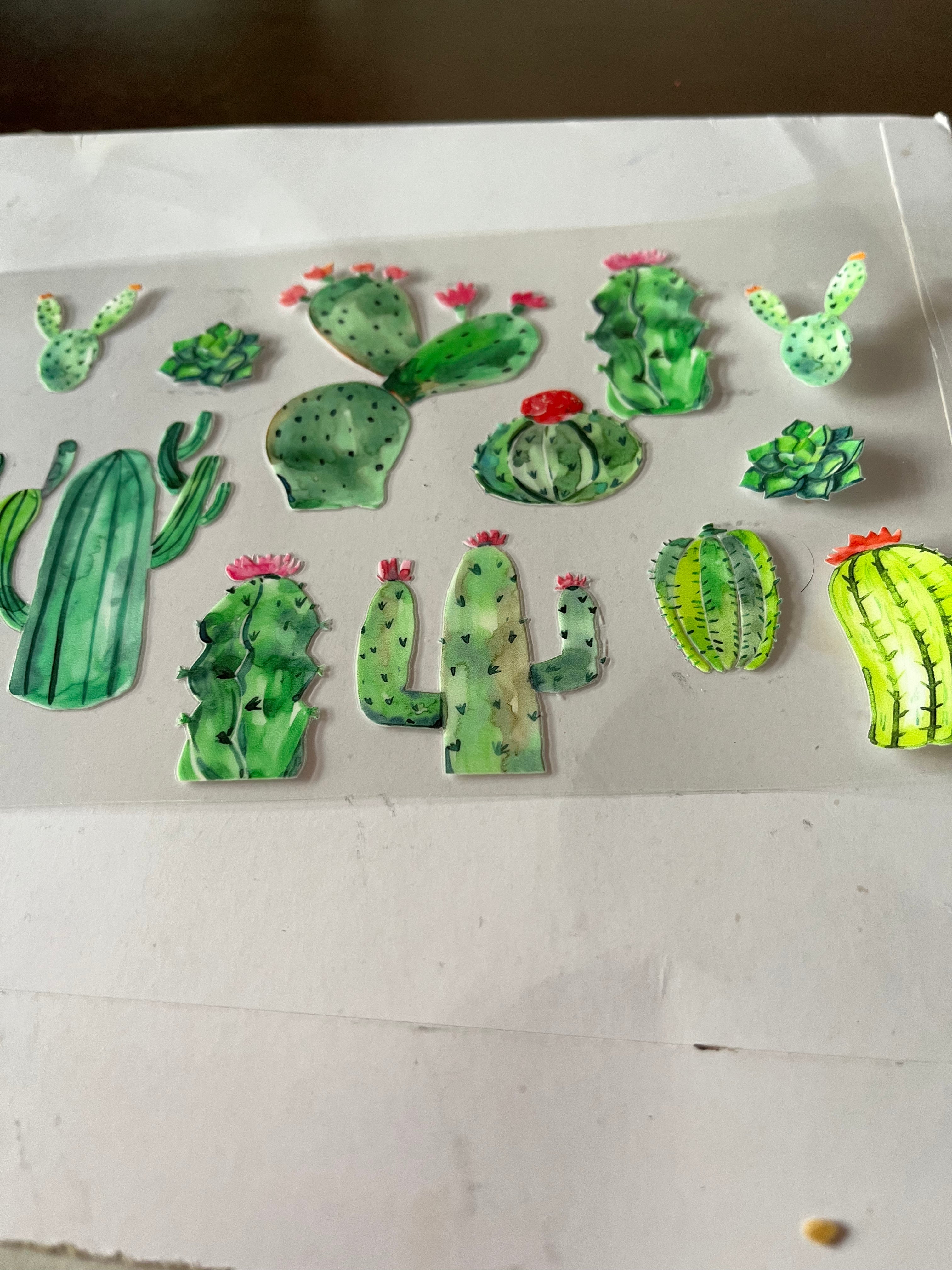Cactus 2752