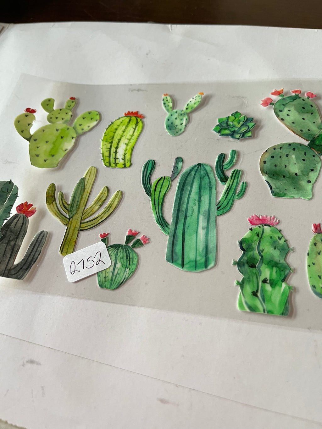 Cactus 2752