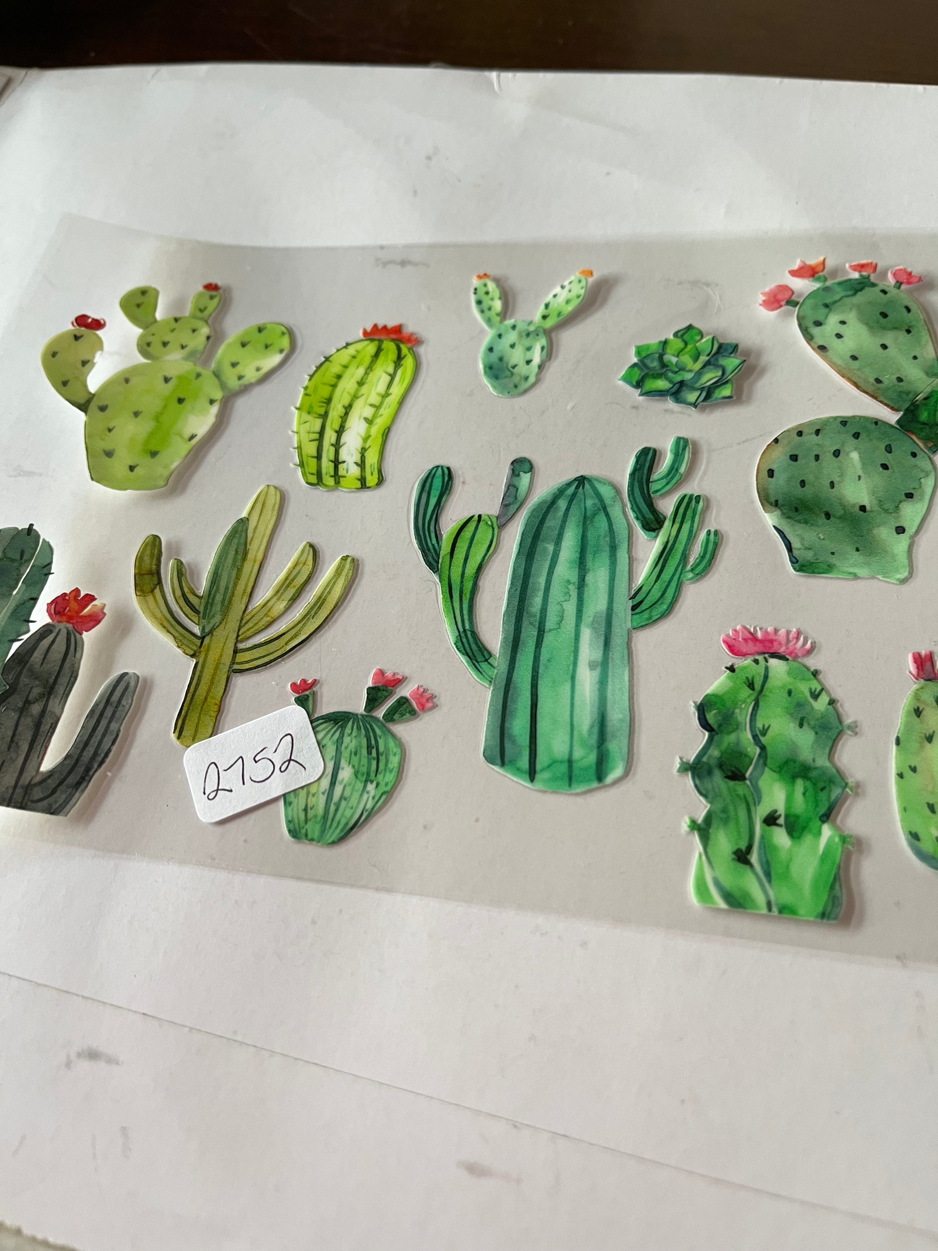 Cactus 2752