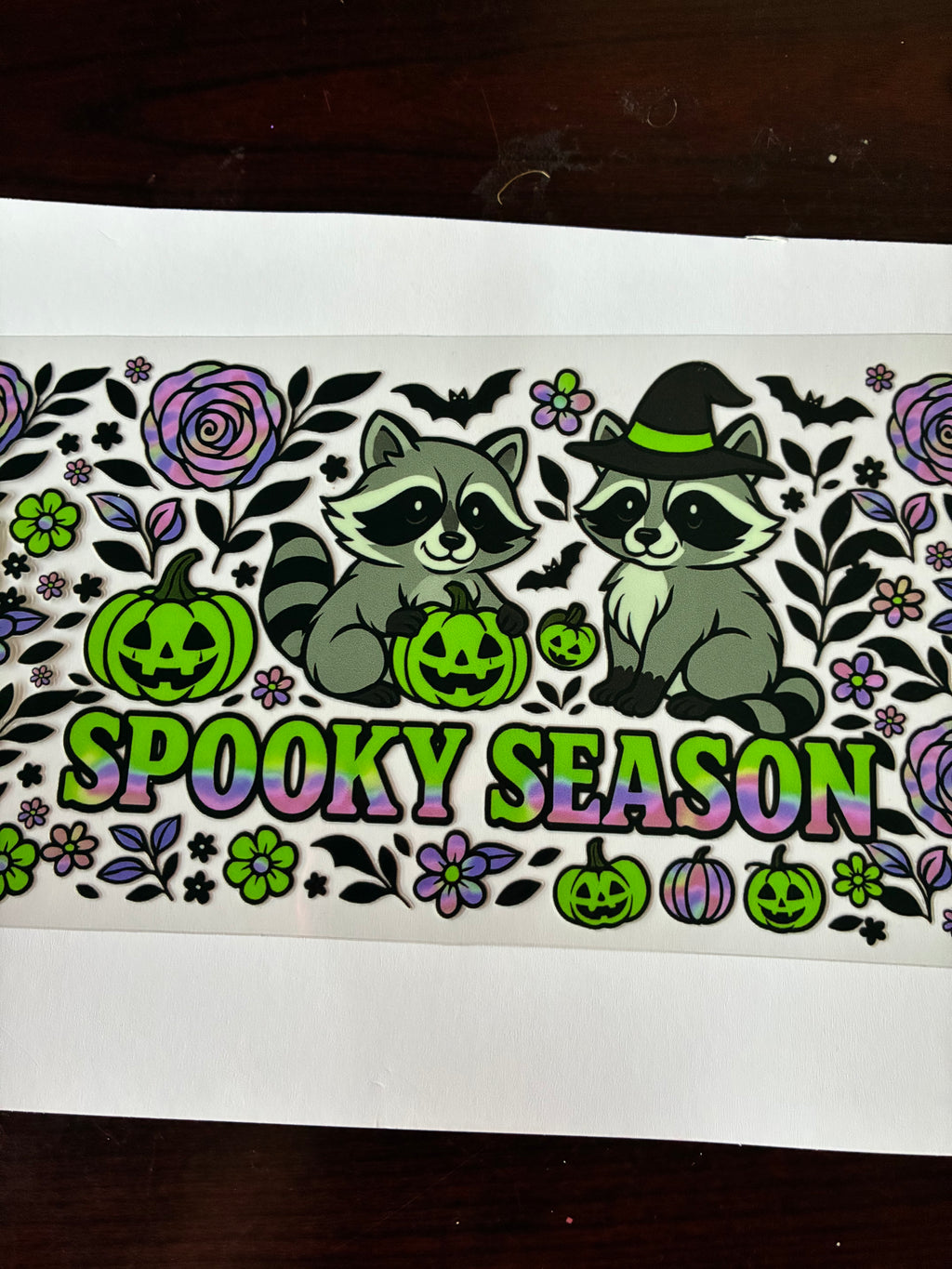 Raccoon spooky season 702
