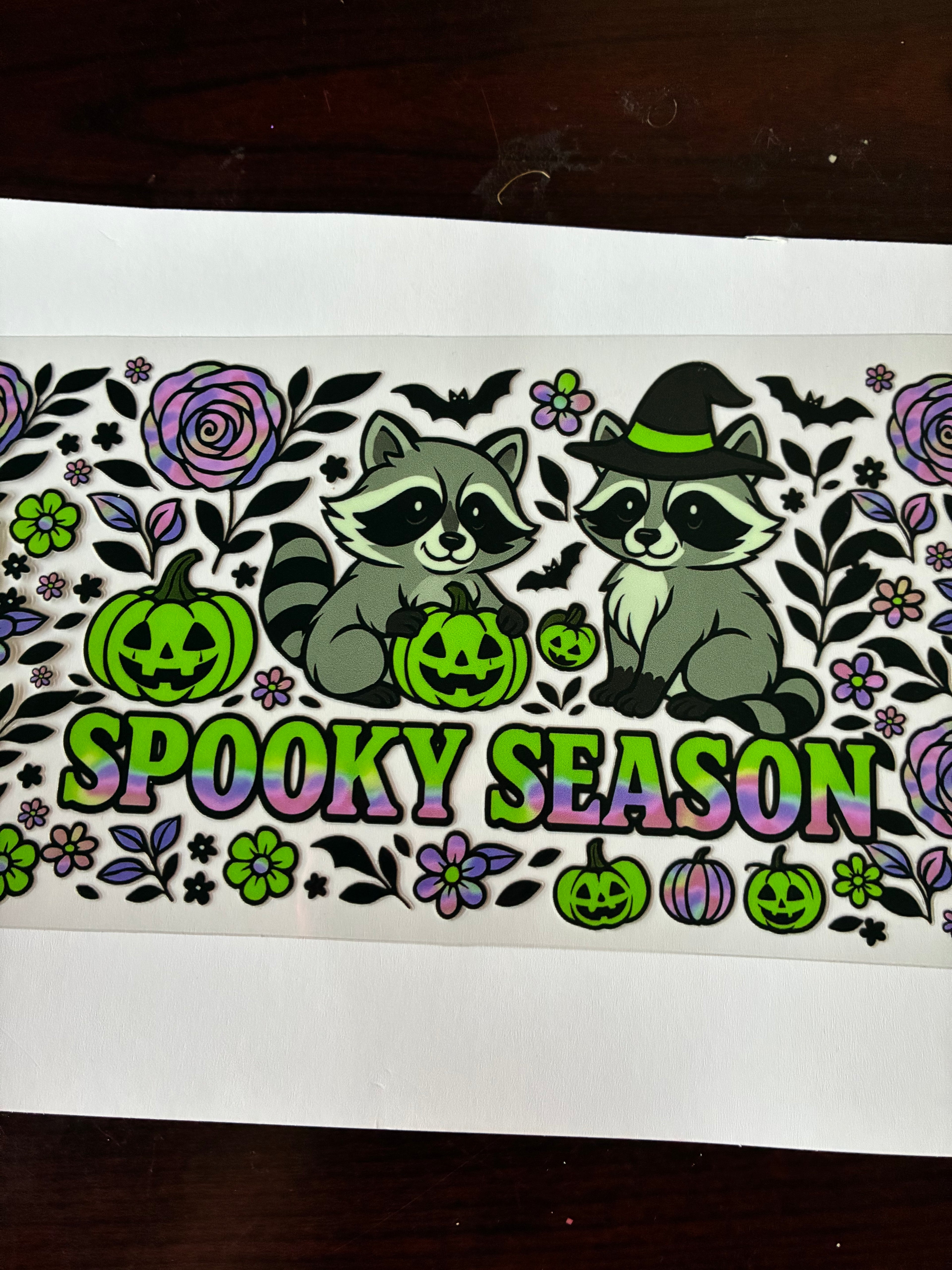 Raccoon spooky season 702