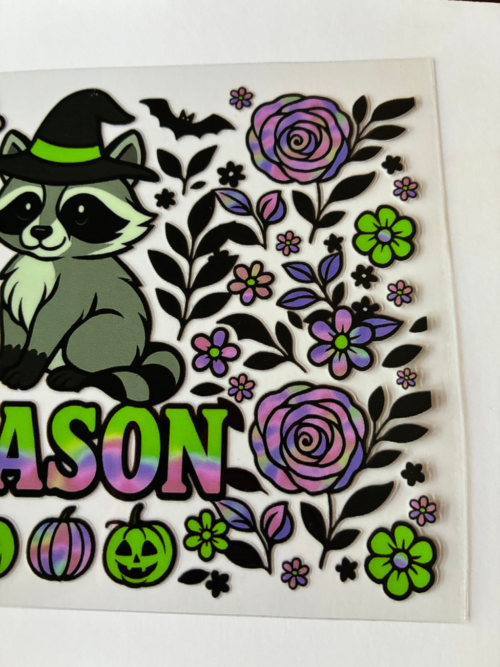 Raccoon spooky season 702