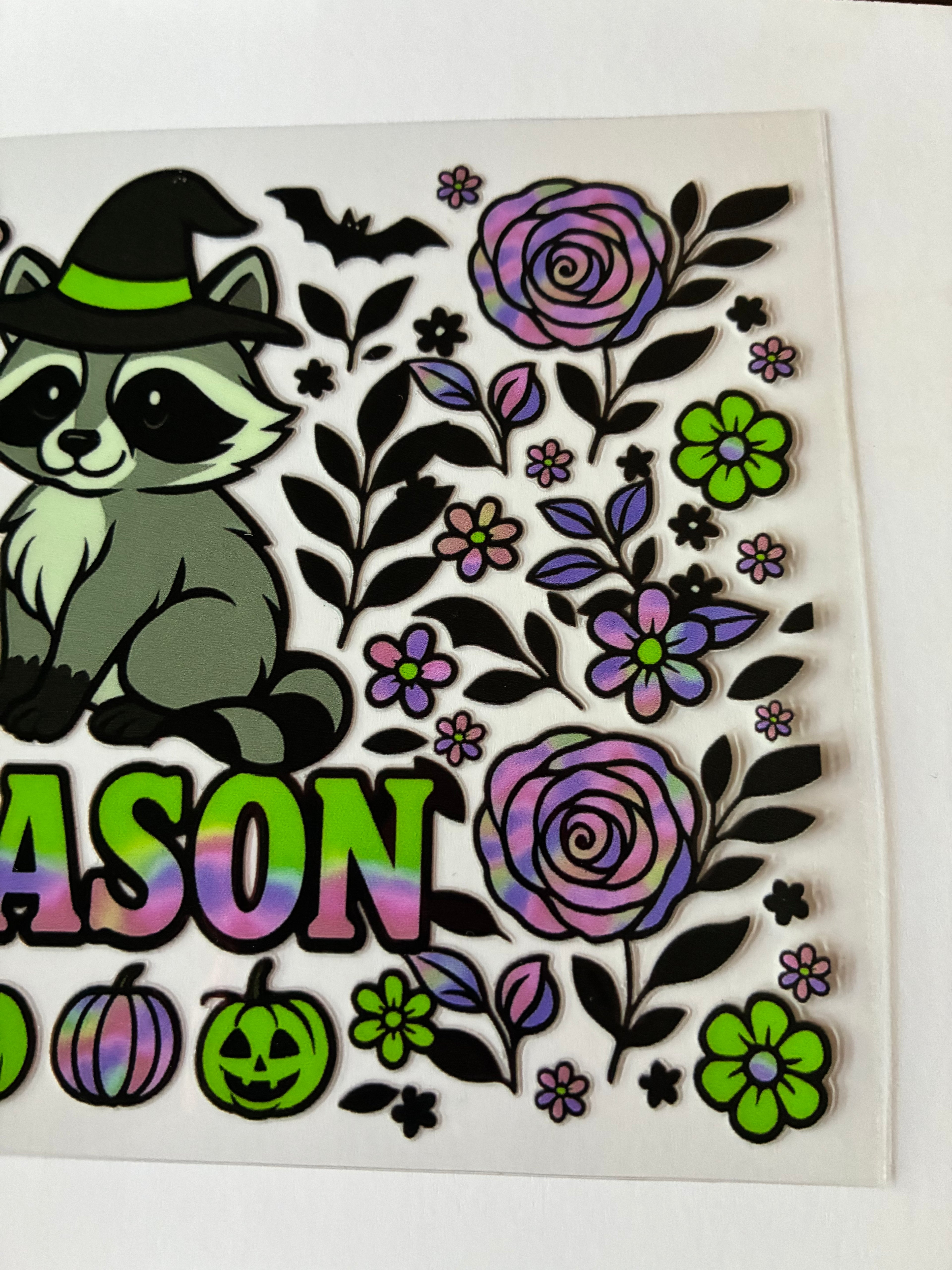 Raccoon spooky season 702