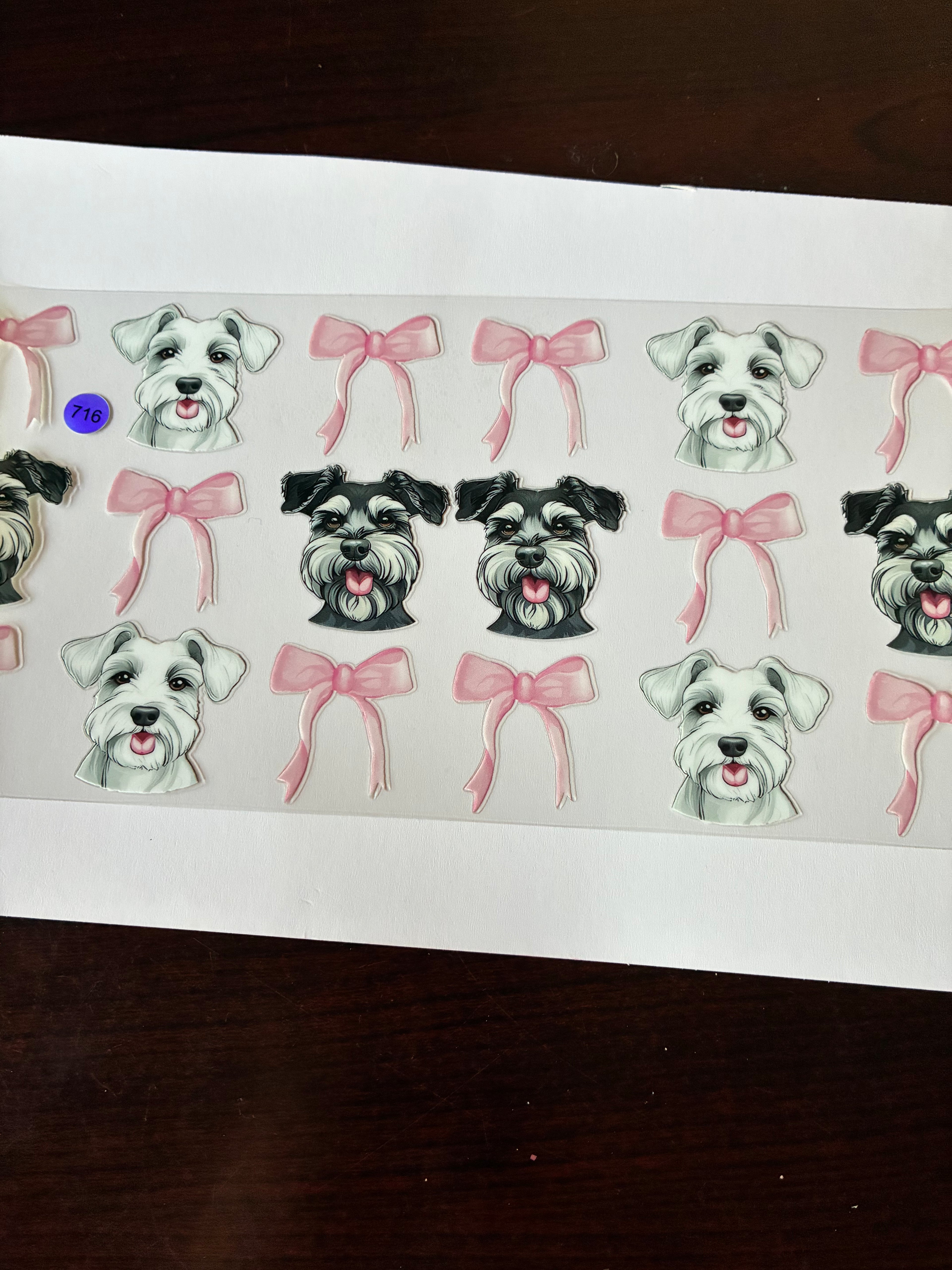 Schnauzer with bows 716