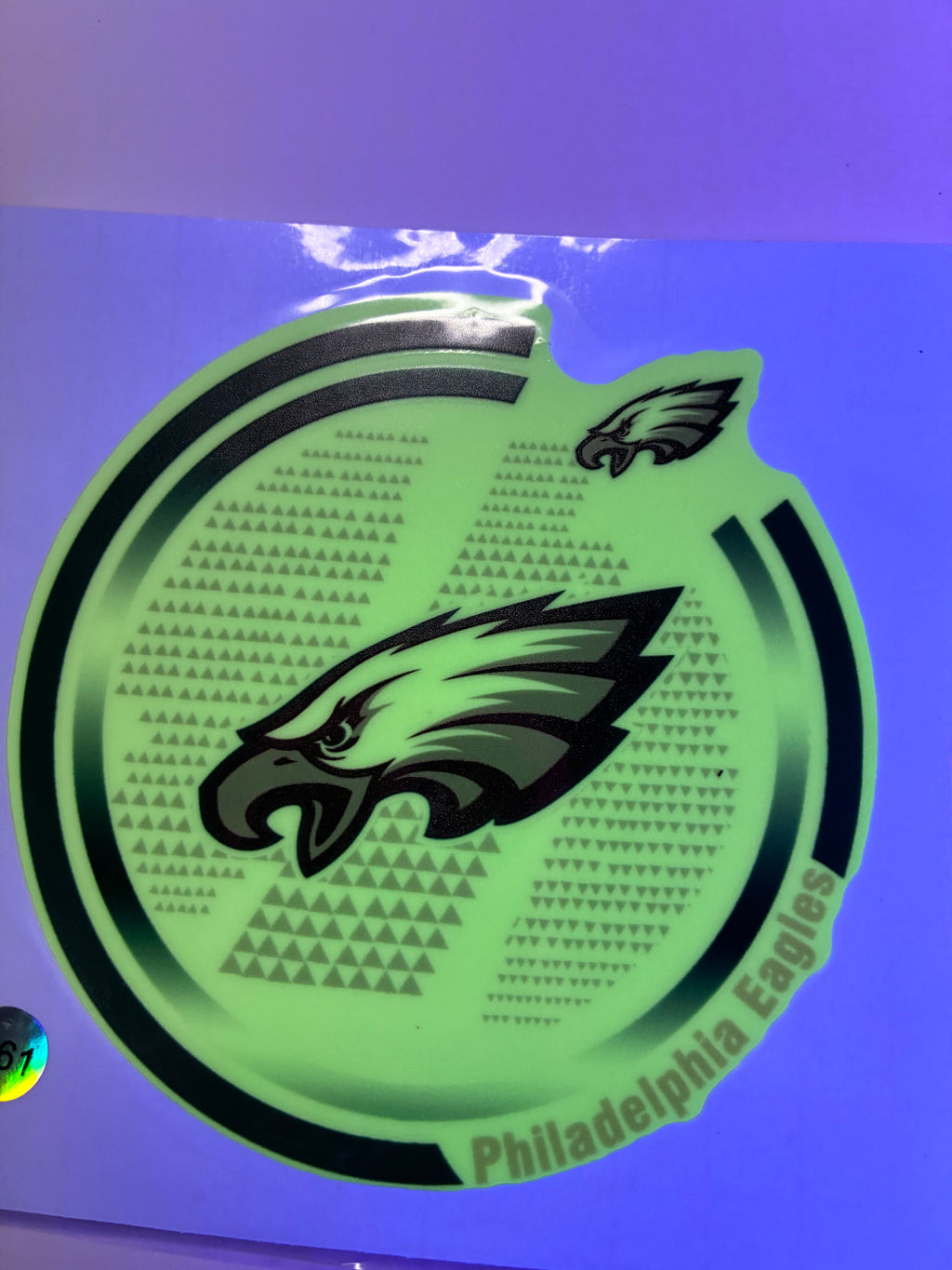Eagles decal glow in dark 761