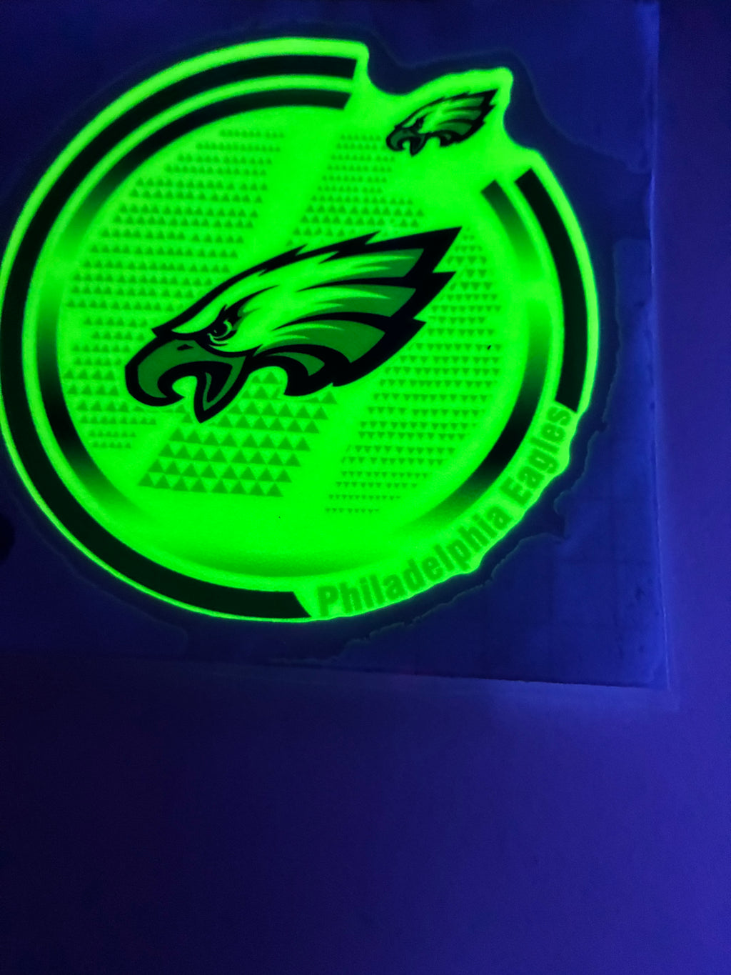 Eagles decal glow in dark 761
