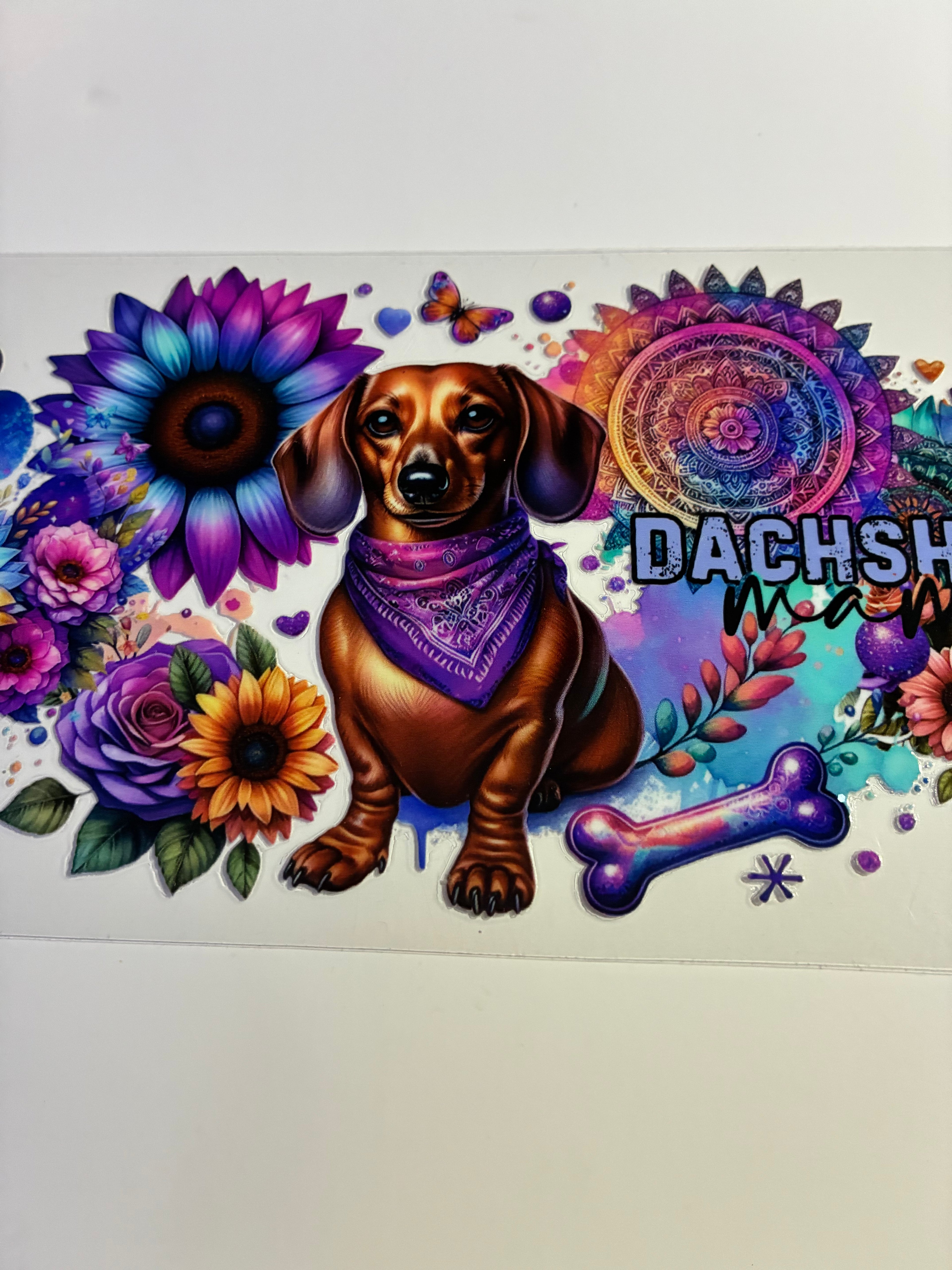 Dachshund colorful 930