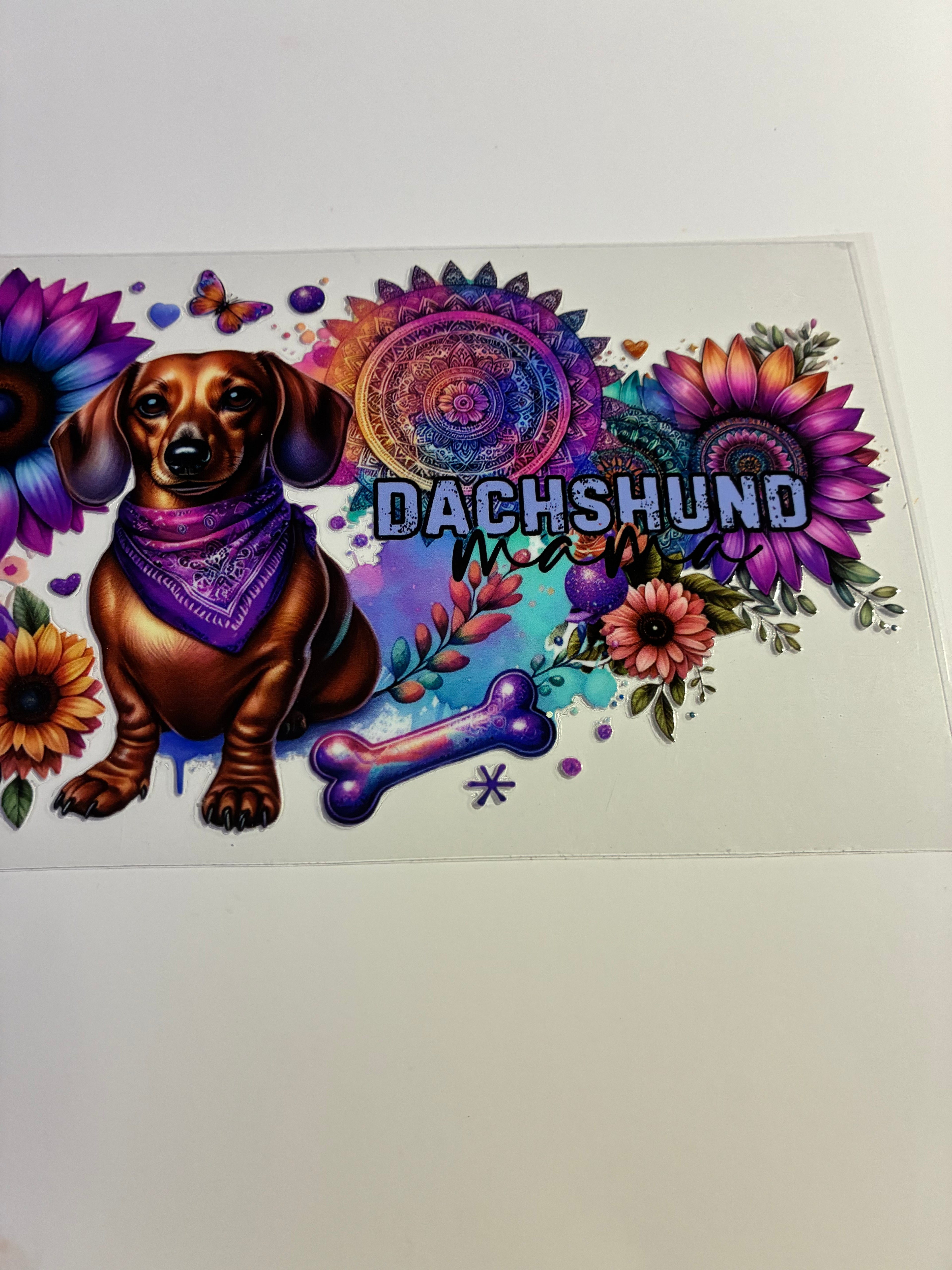 Dachshund colorful 930