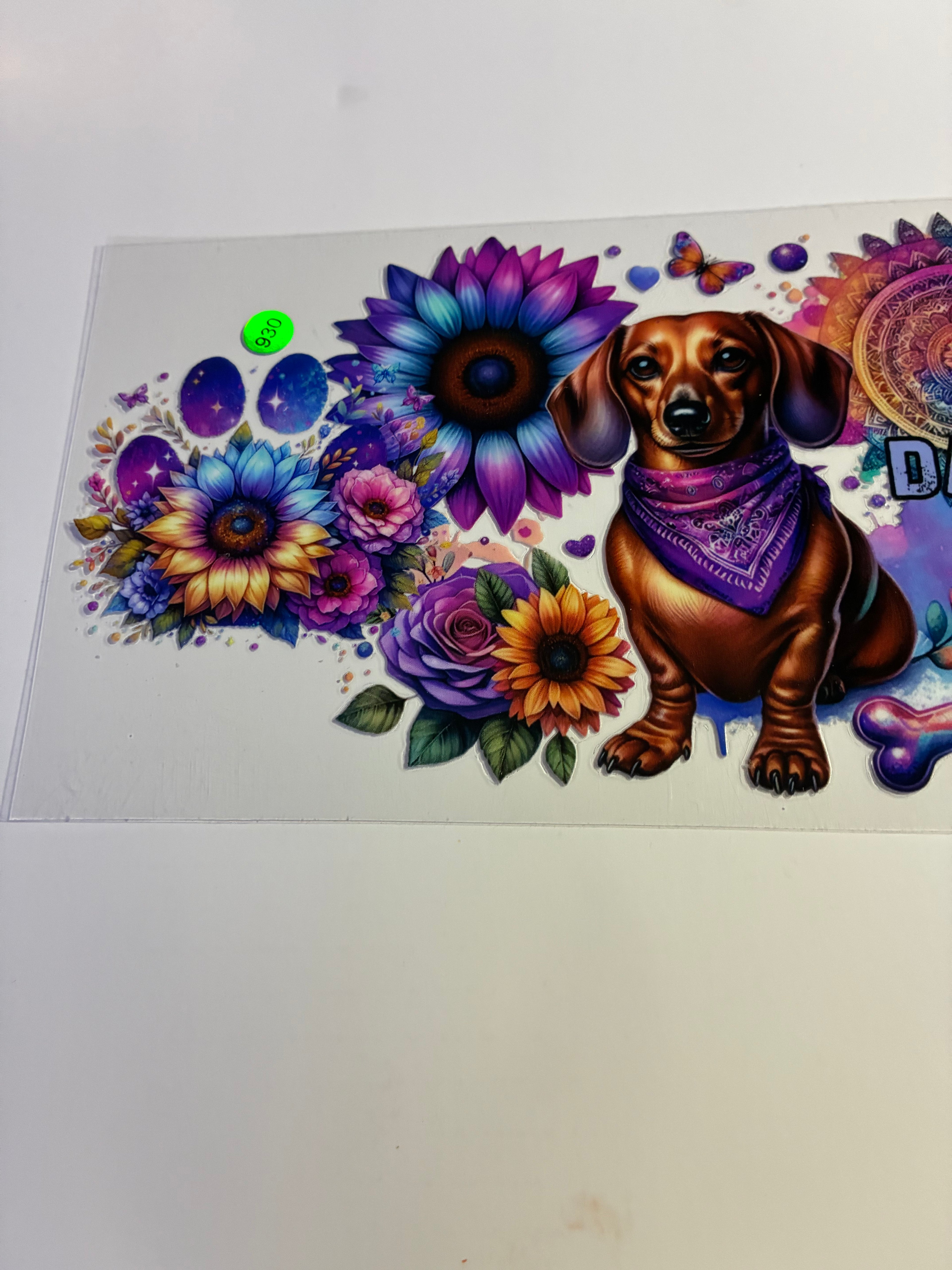 Dachshund colorful 930