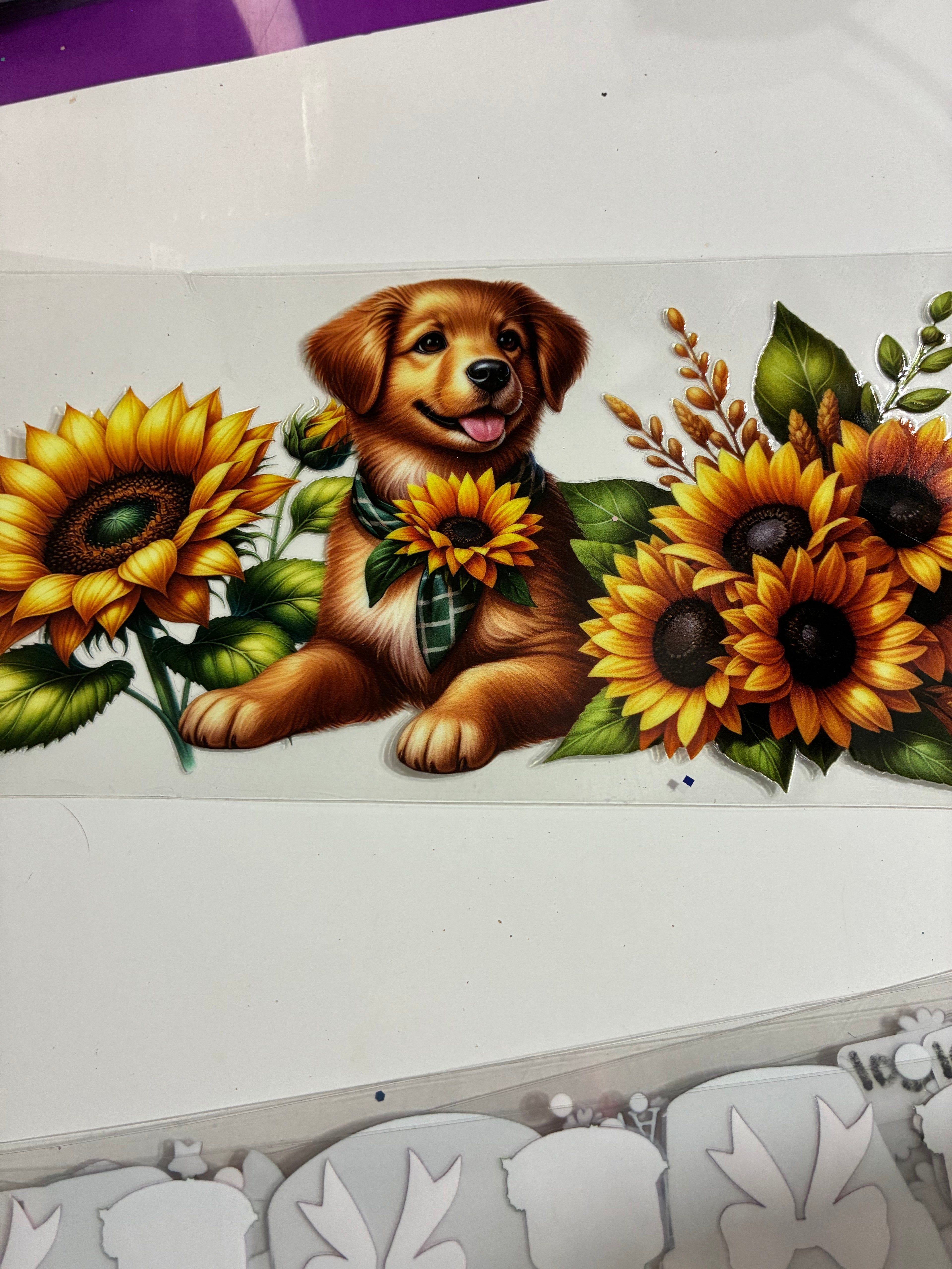 Dog  sunflower 1043