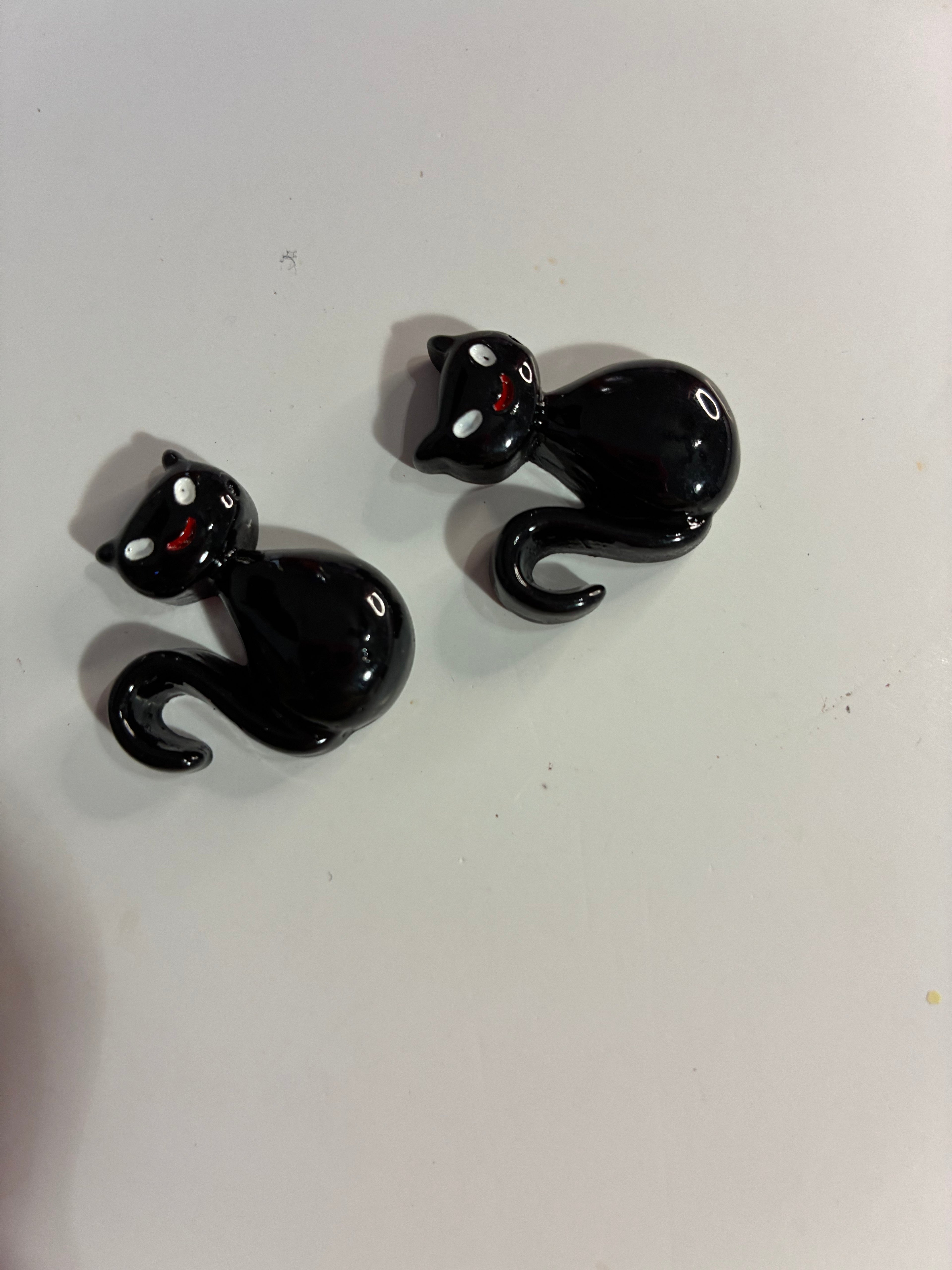 Black cat