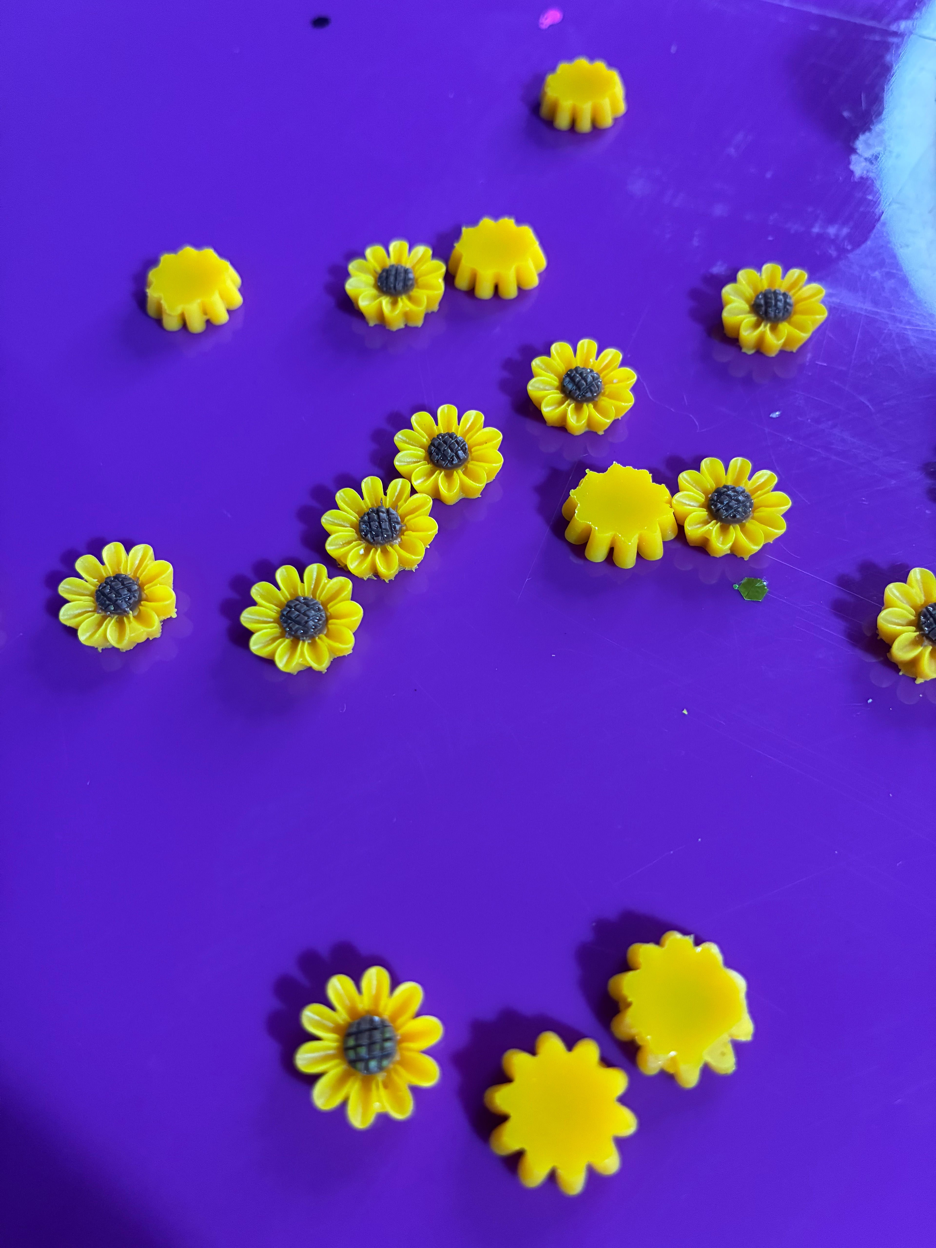Mini sunflower