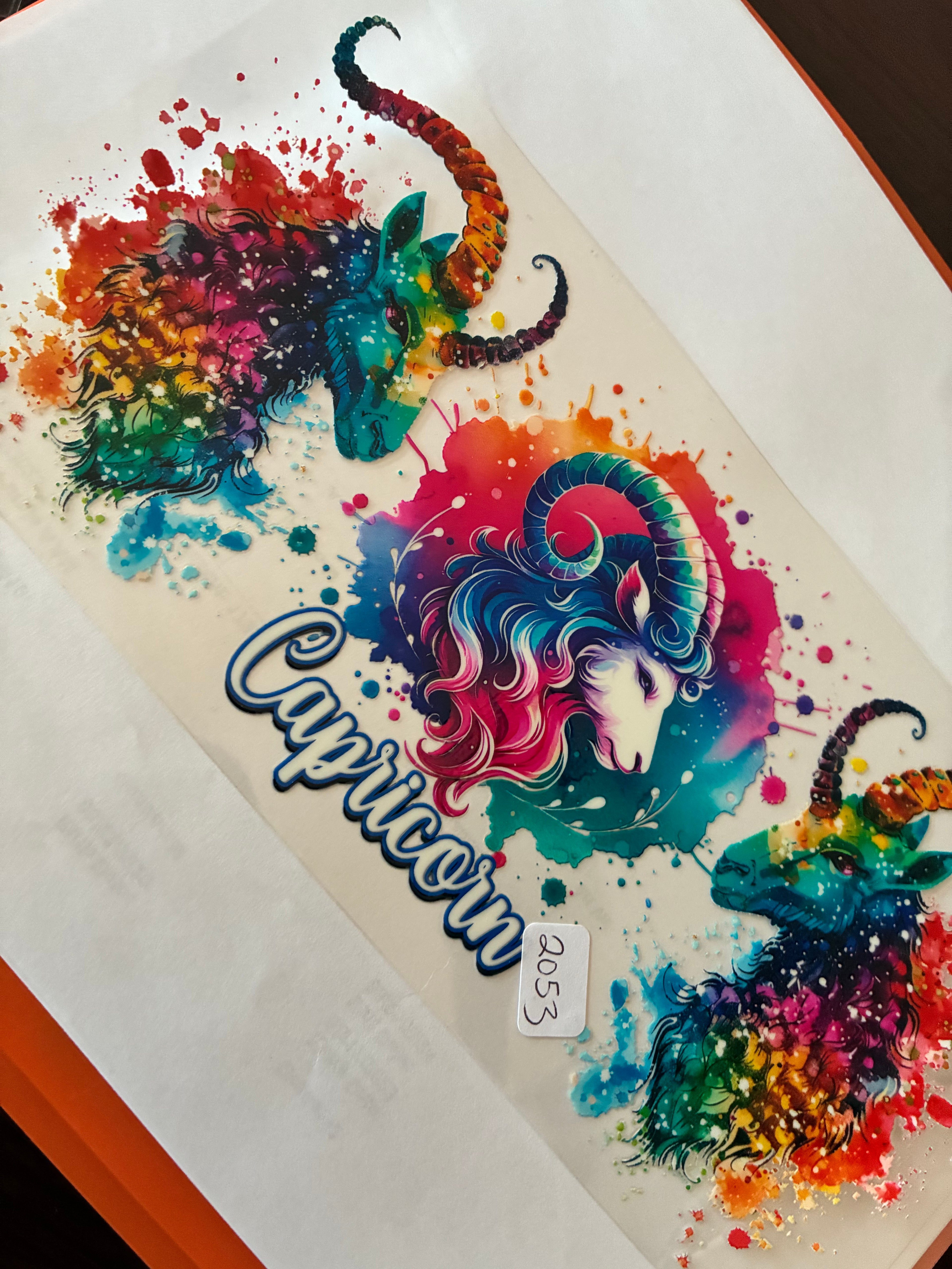 Capricorn 2053 vibrant series
