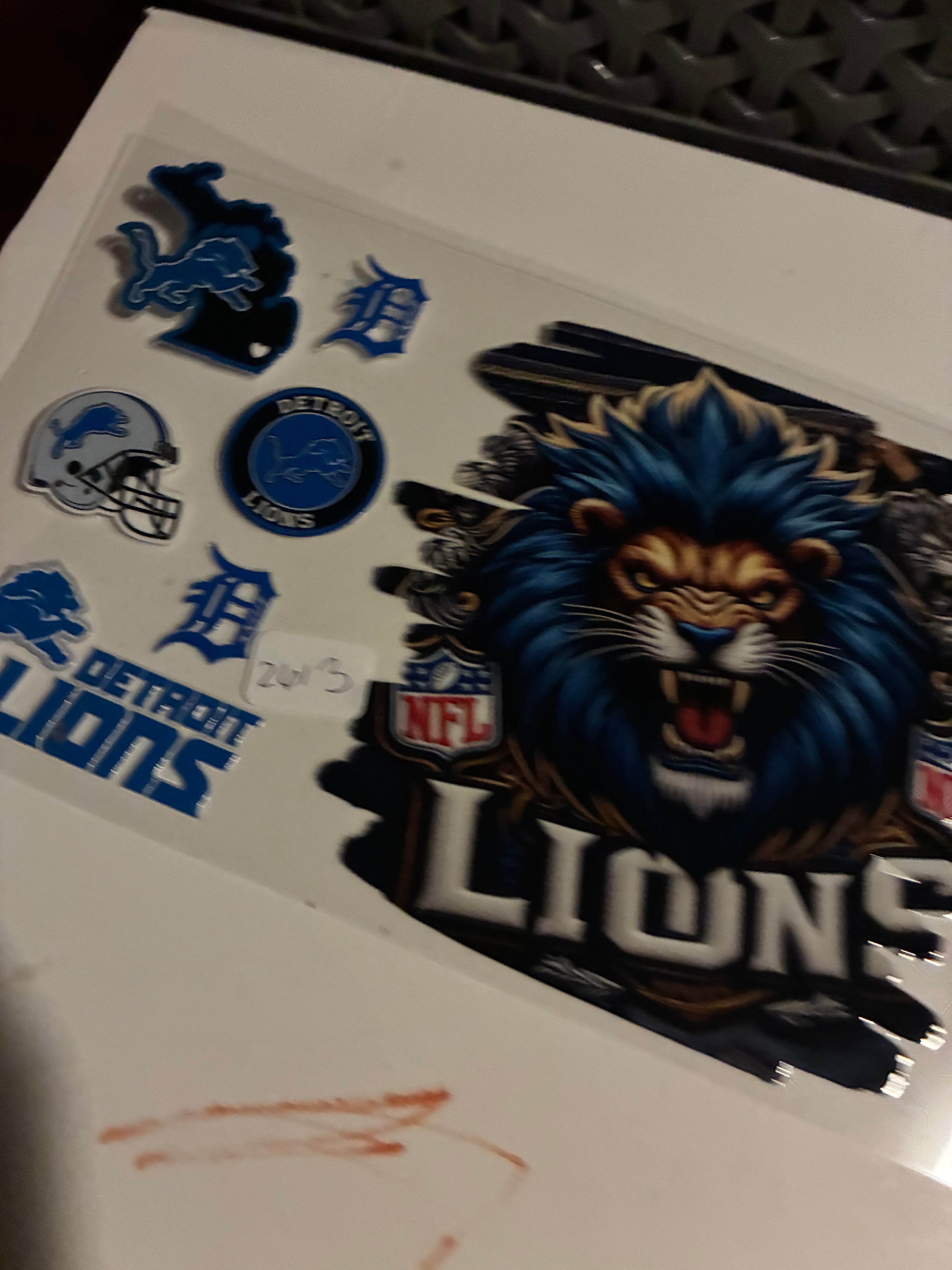 Lions 2613