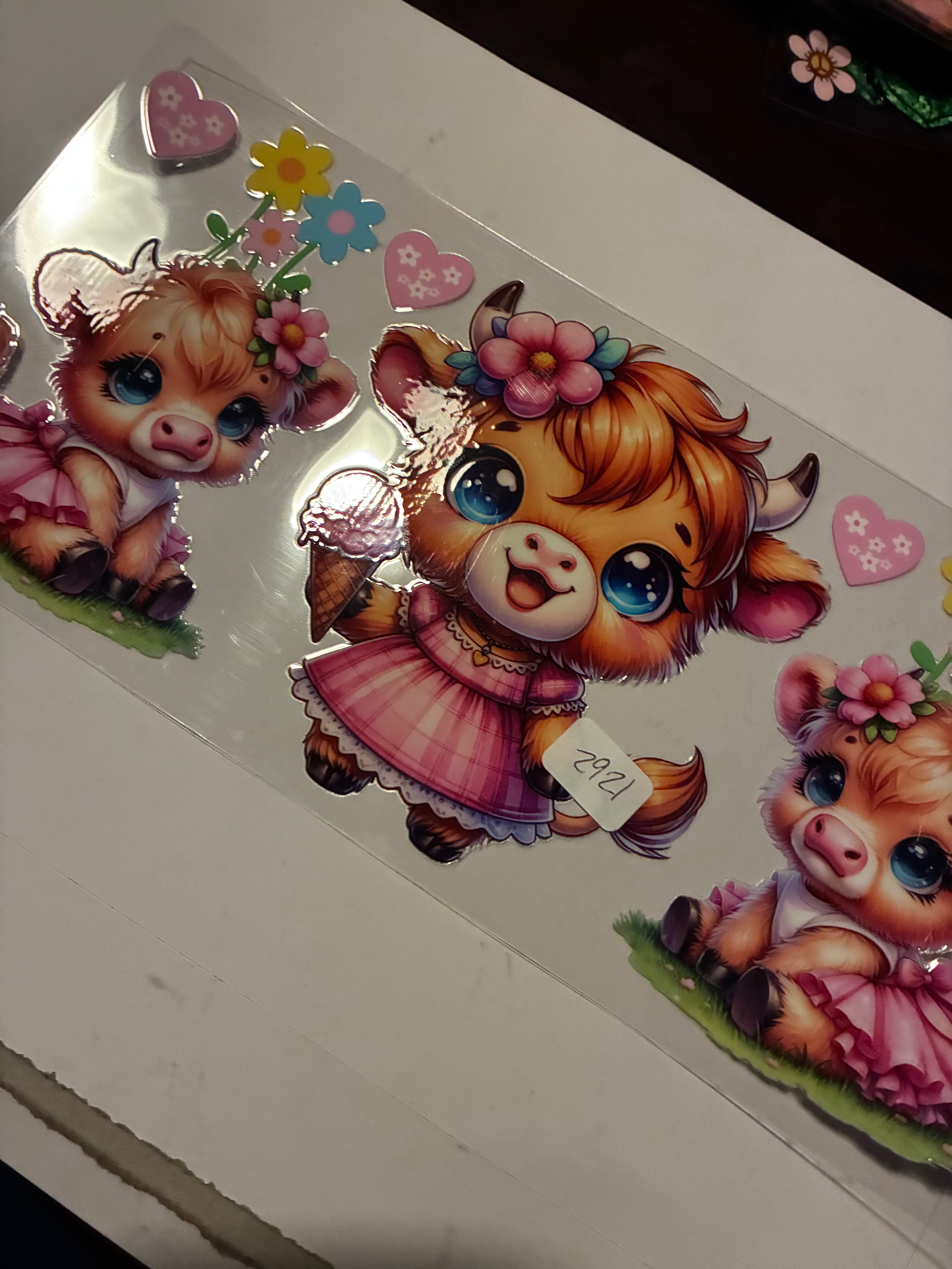 Cow spring 2921