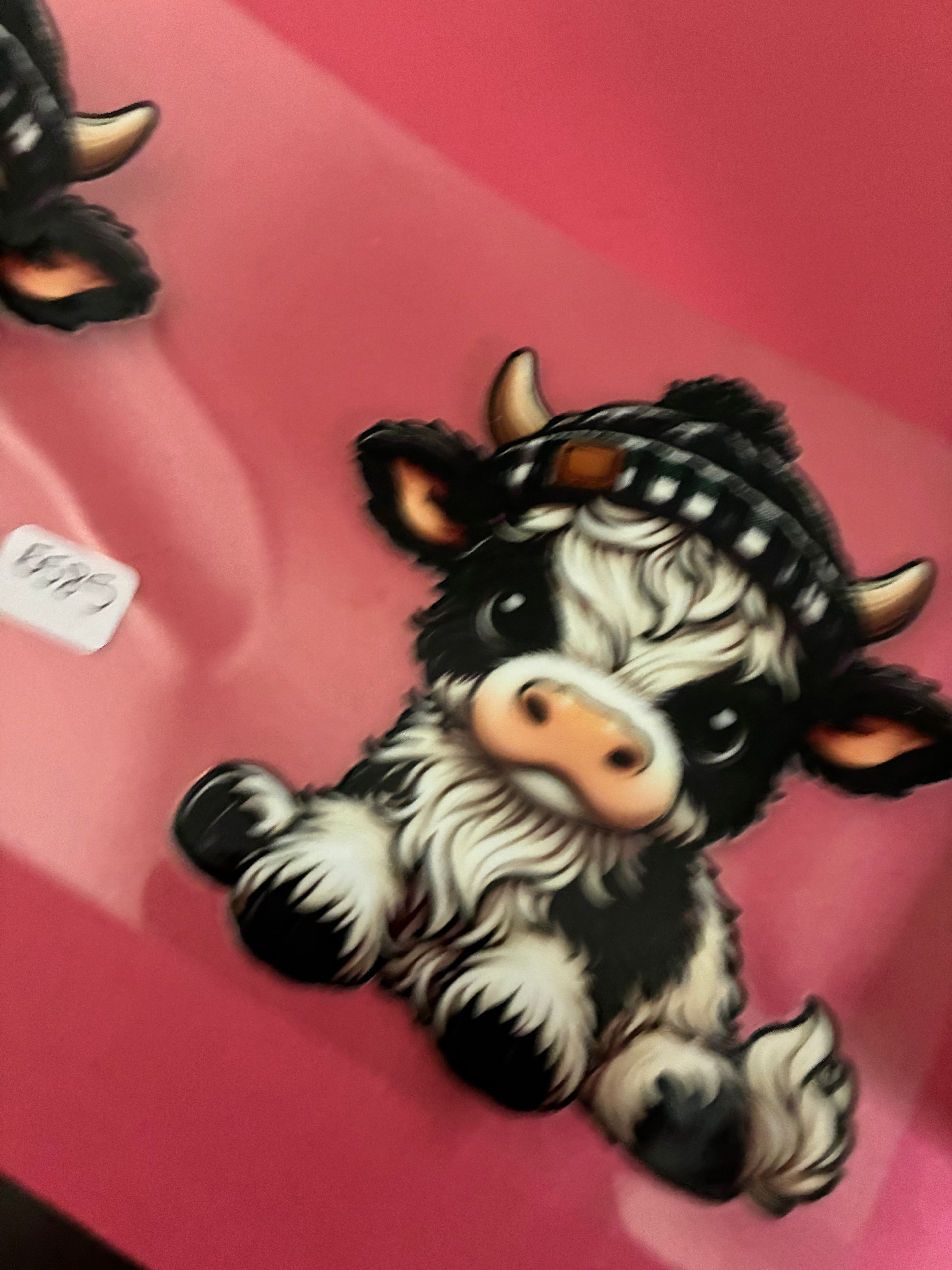 5585