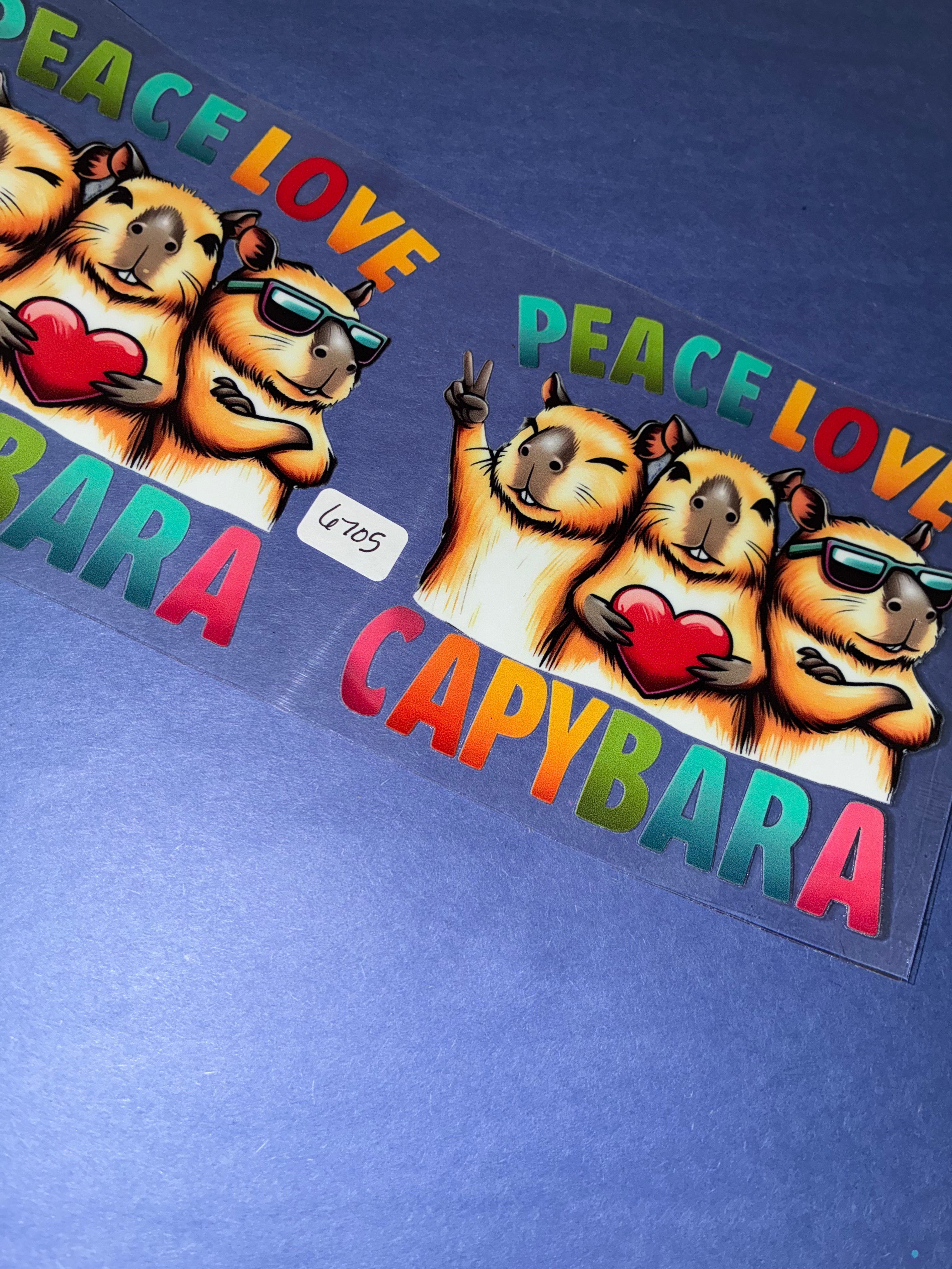 6705