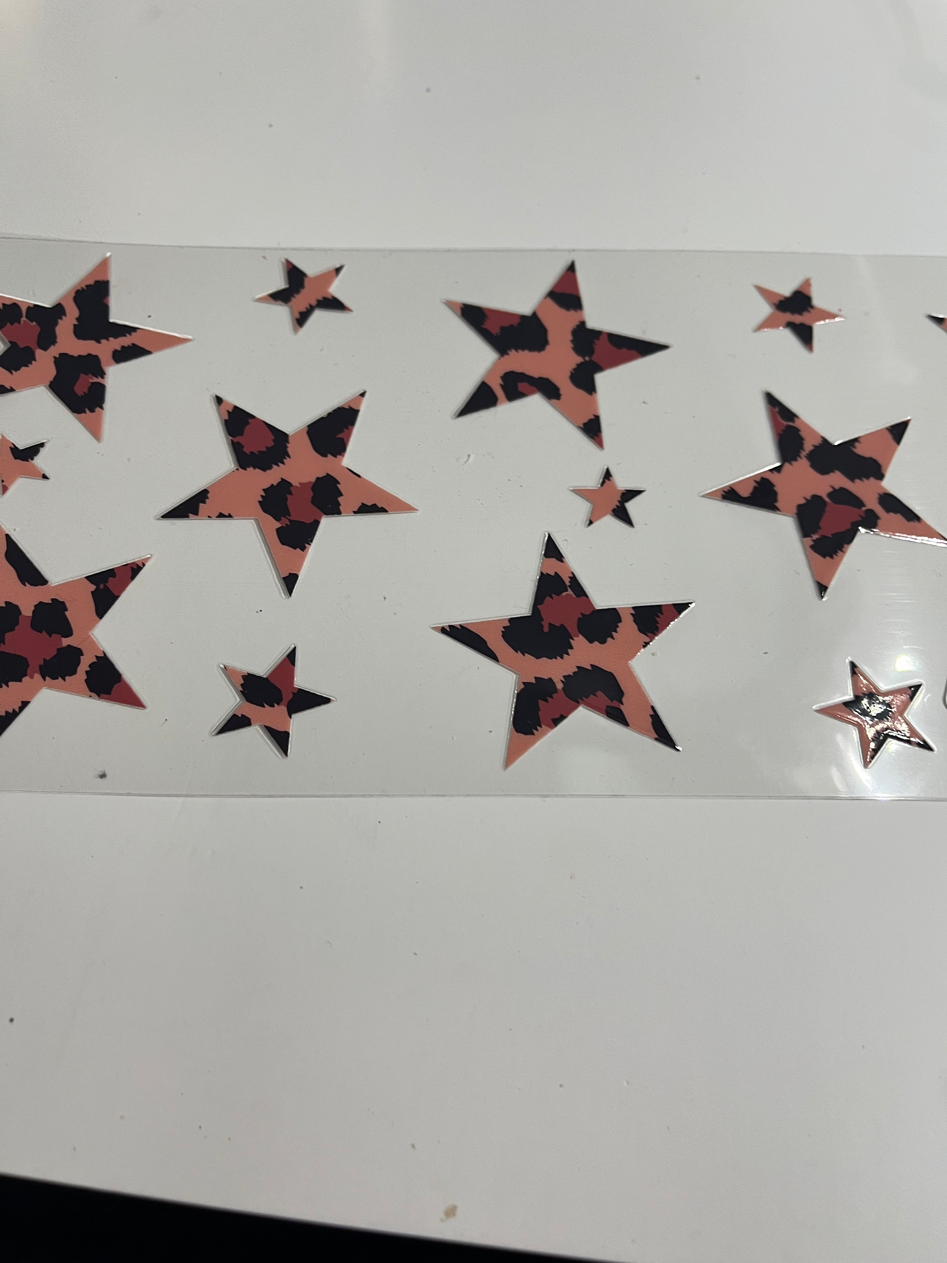 Cheetah stars 1076
