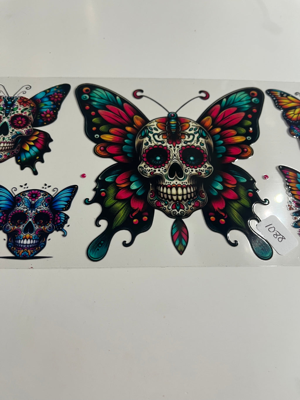 Skeleton butterfly 1088