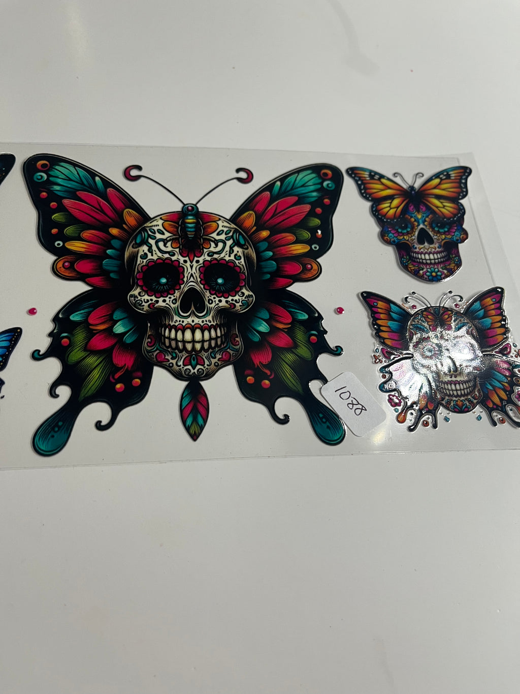 Skeleton butterfly 1088