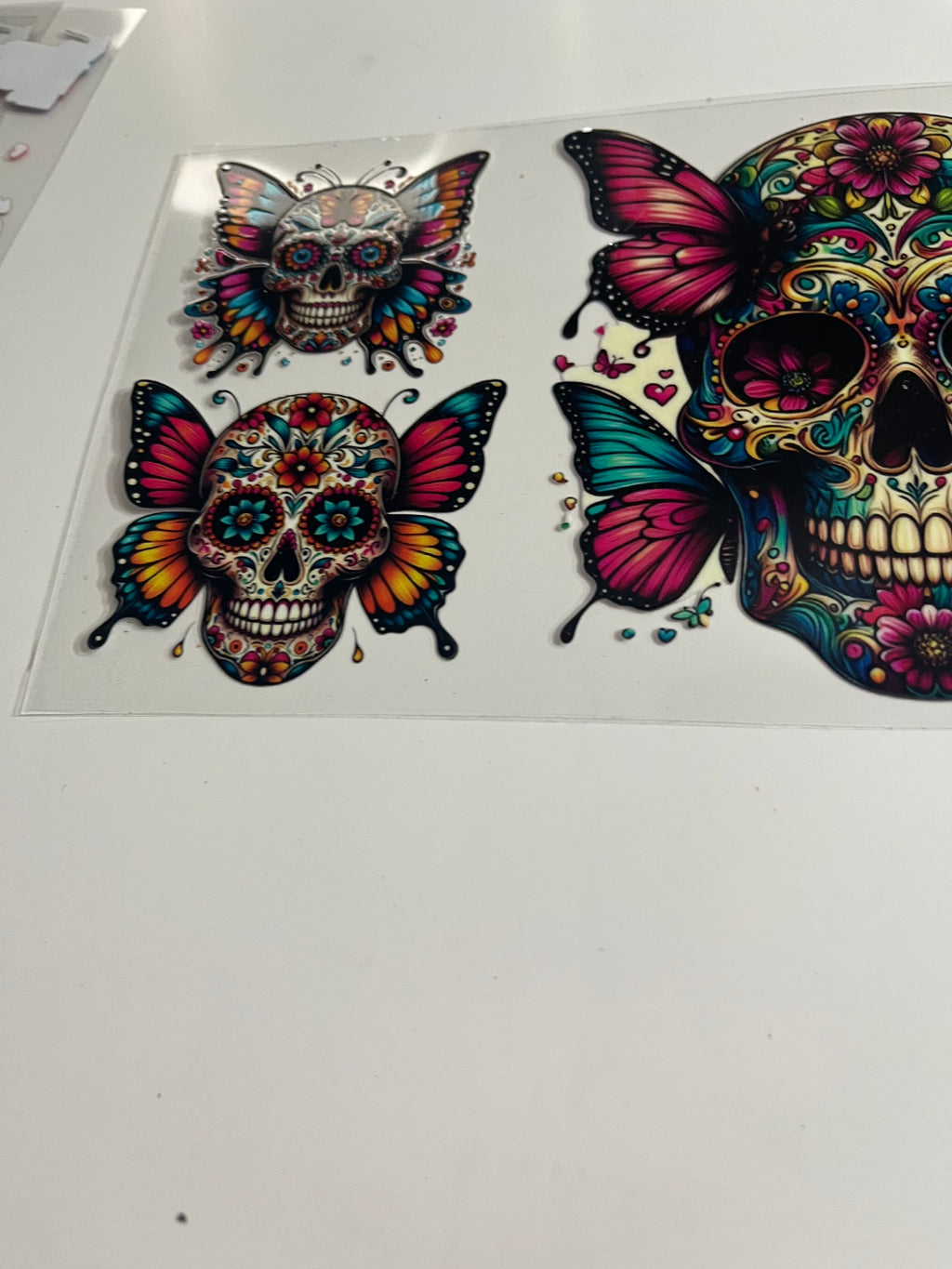 Skeleton butterfly 2. 1090