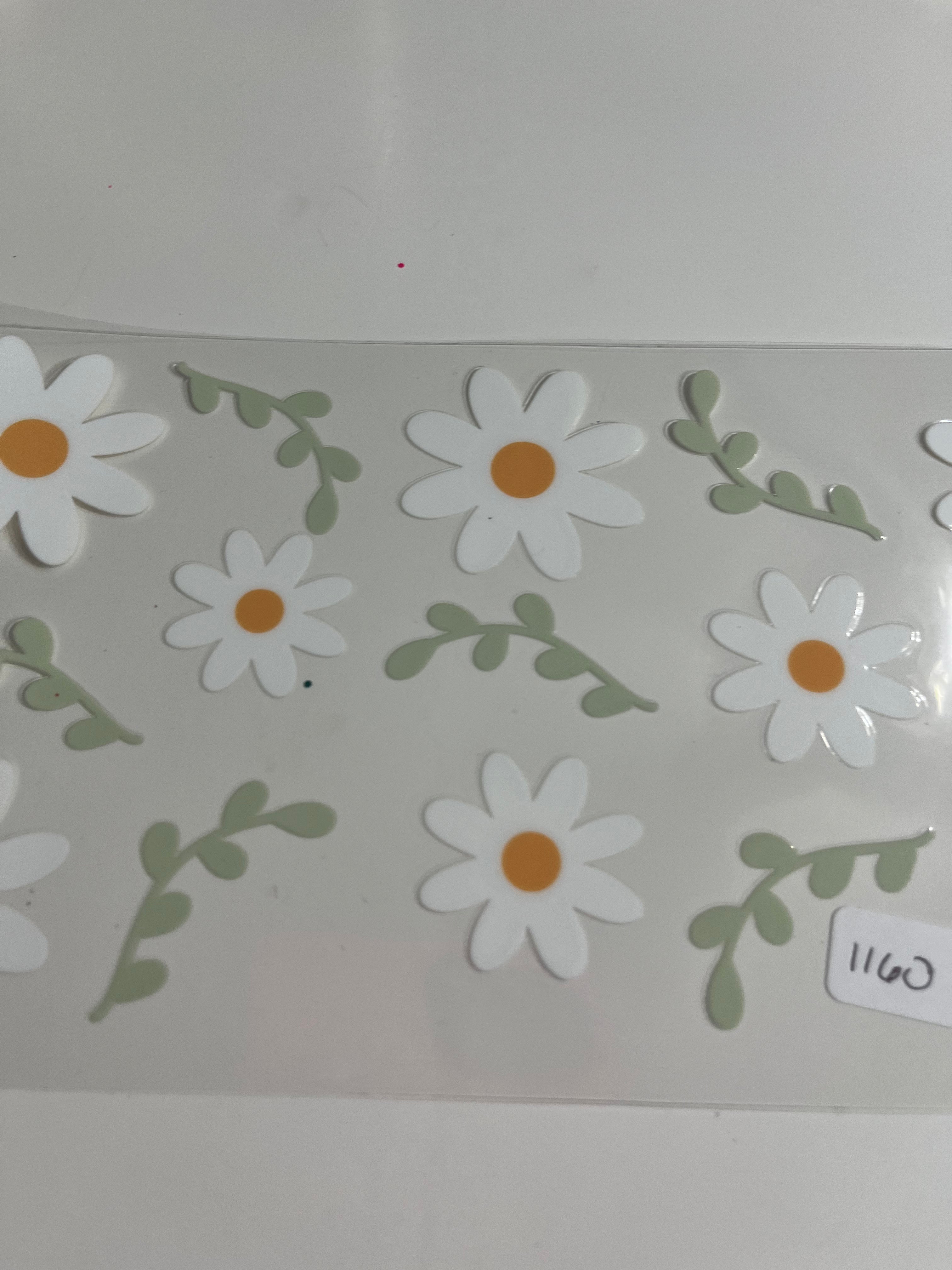 Daisies 1160