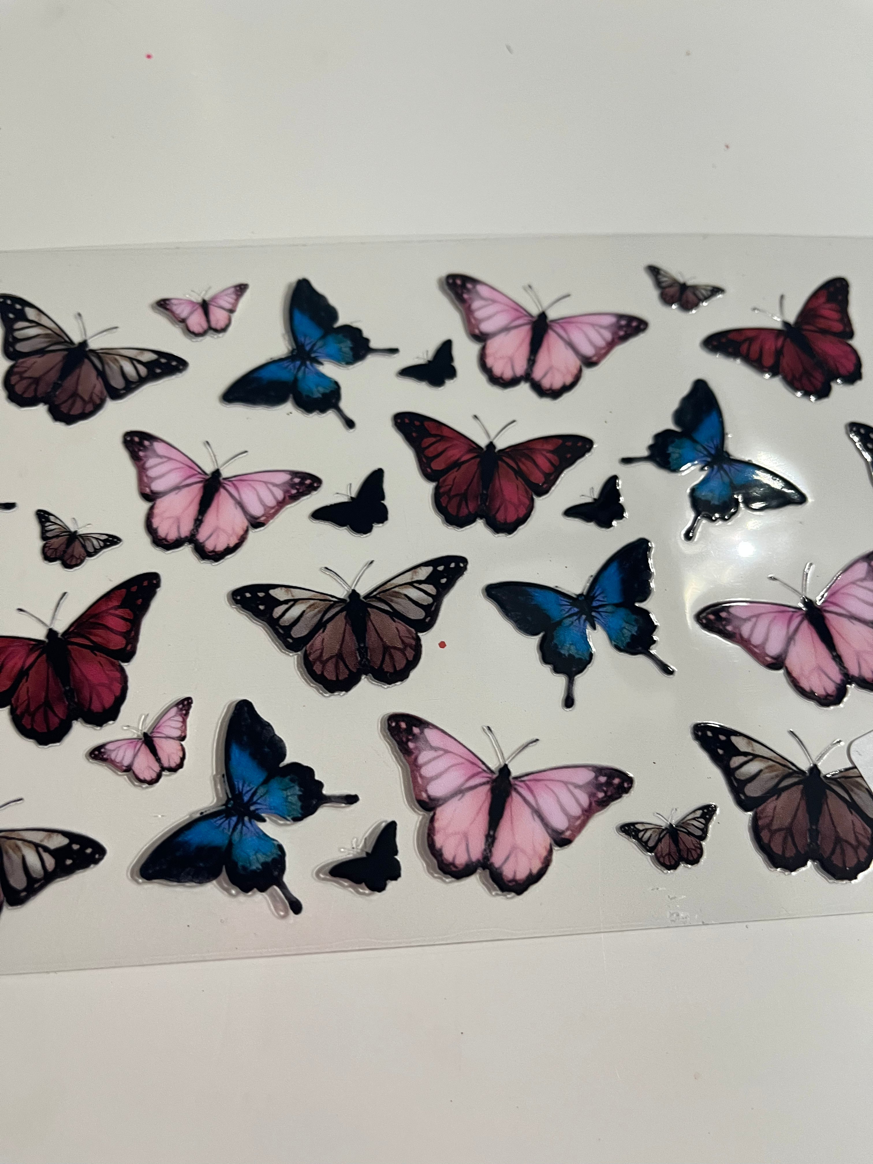 Butterflies 1173