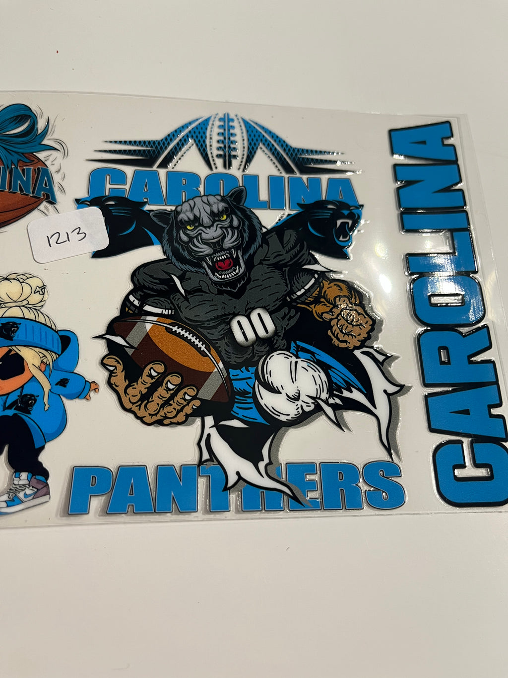 Panthers 1213