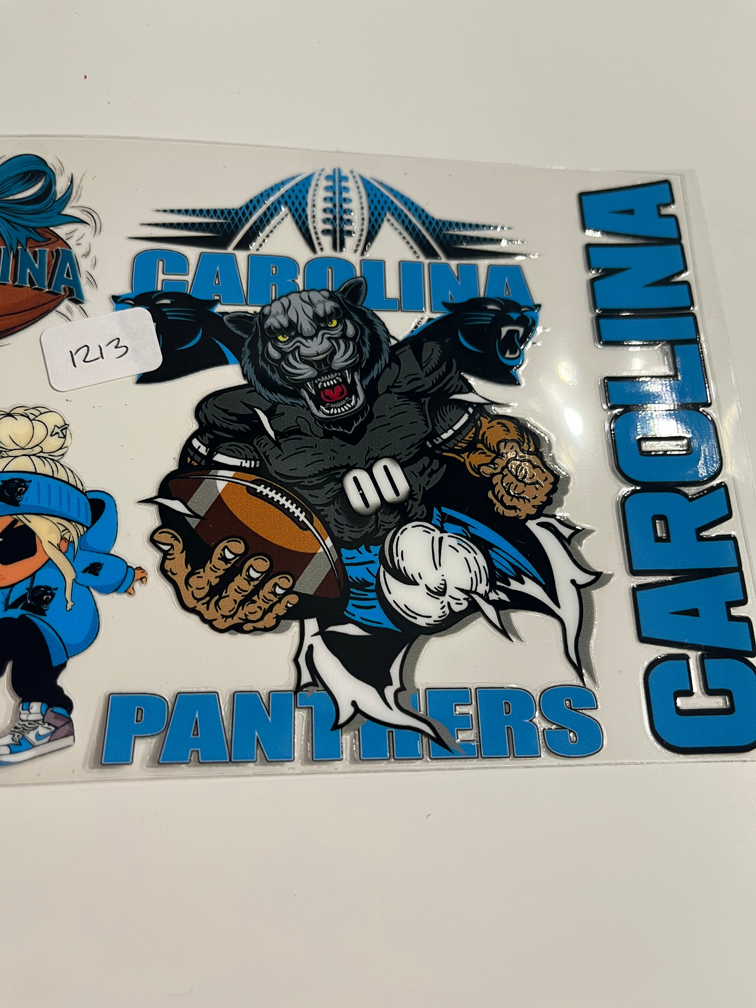 Panthers 1213