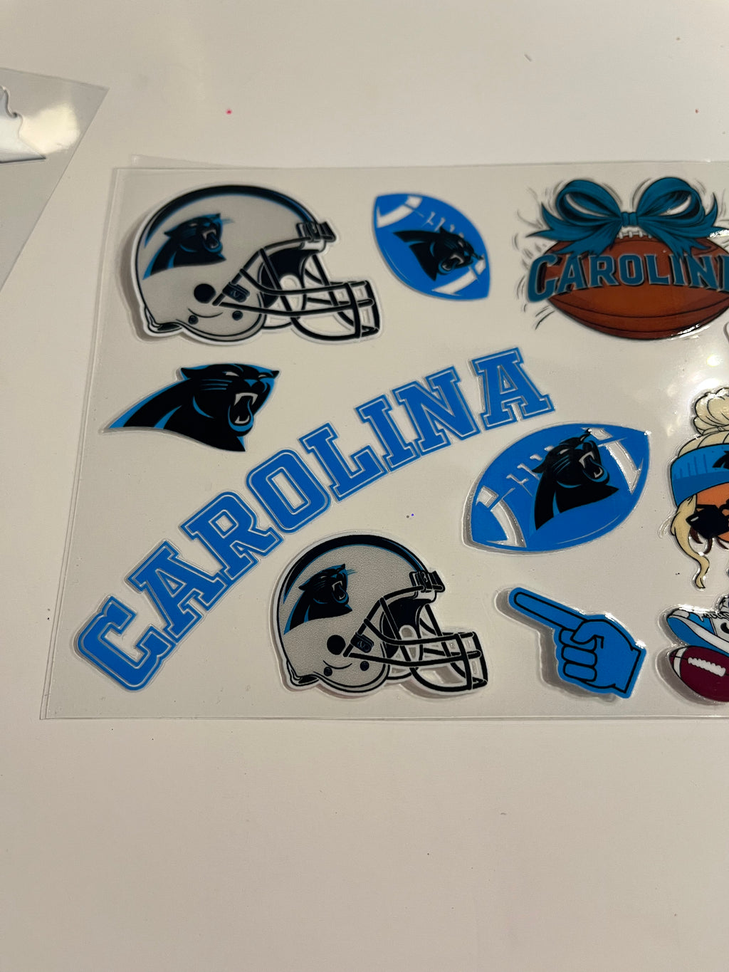 Panthers 1213