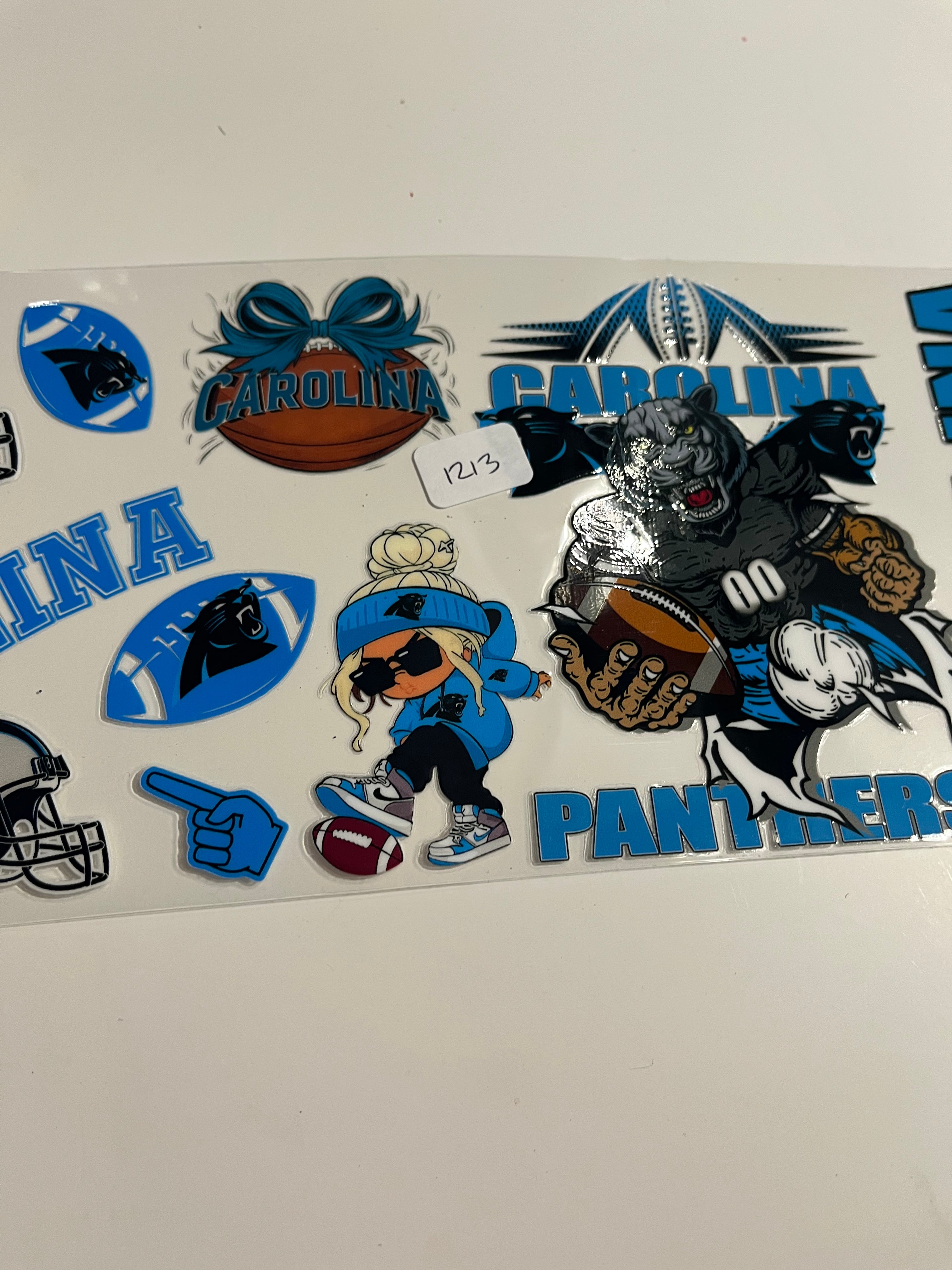 Panthers 1213