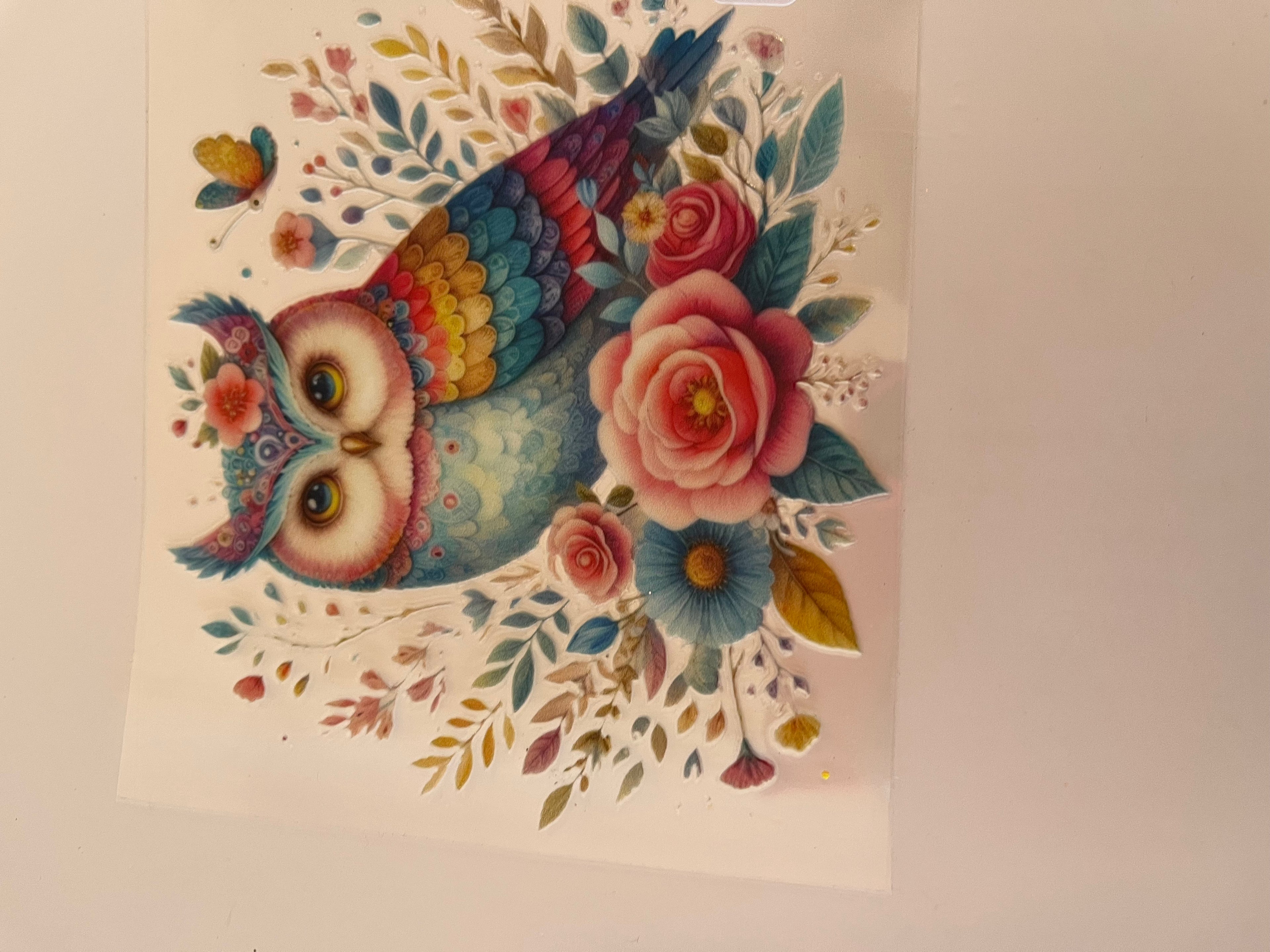 Owl 1288