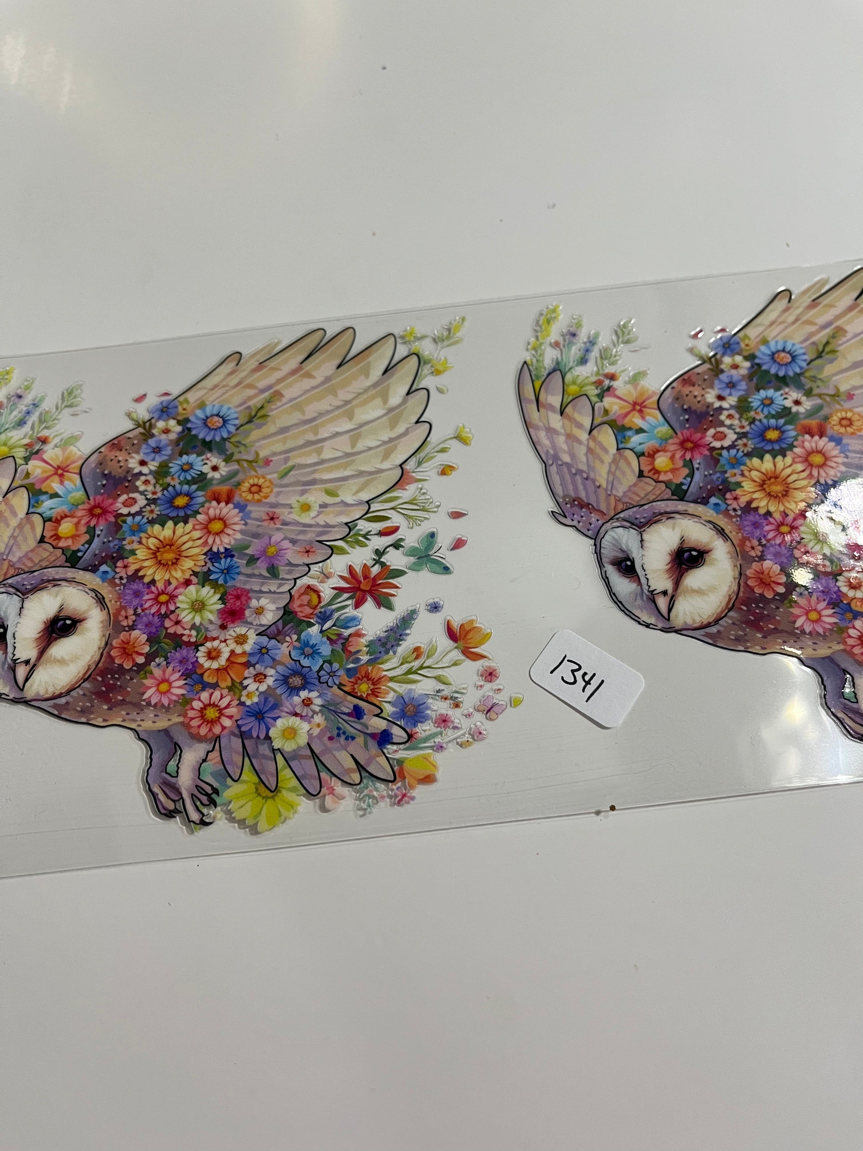 Owl flowers 1341
