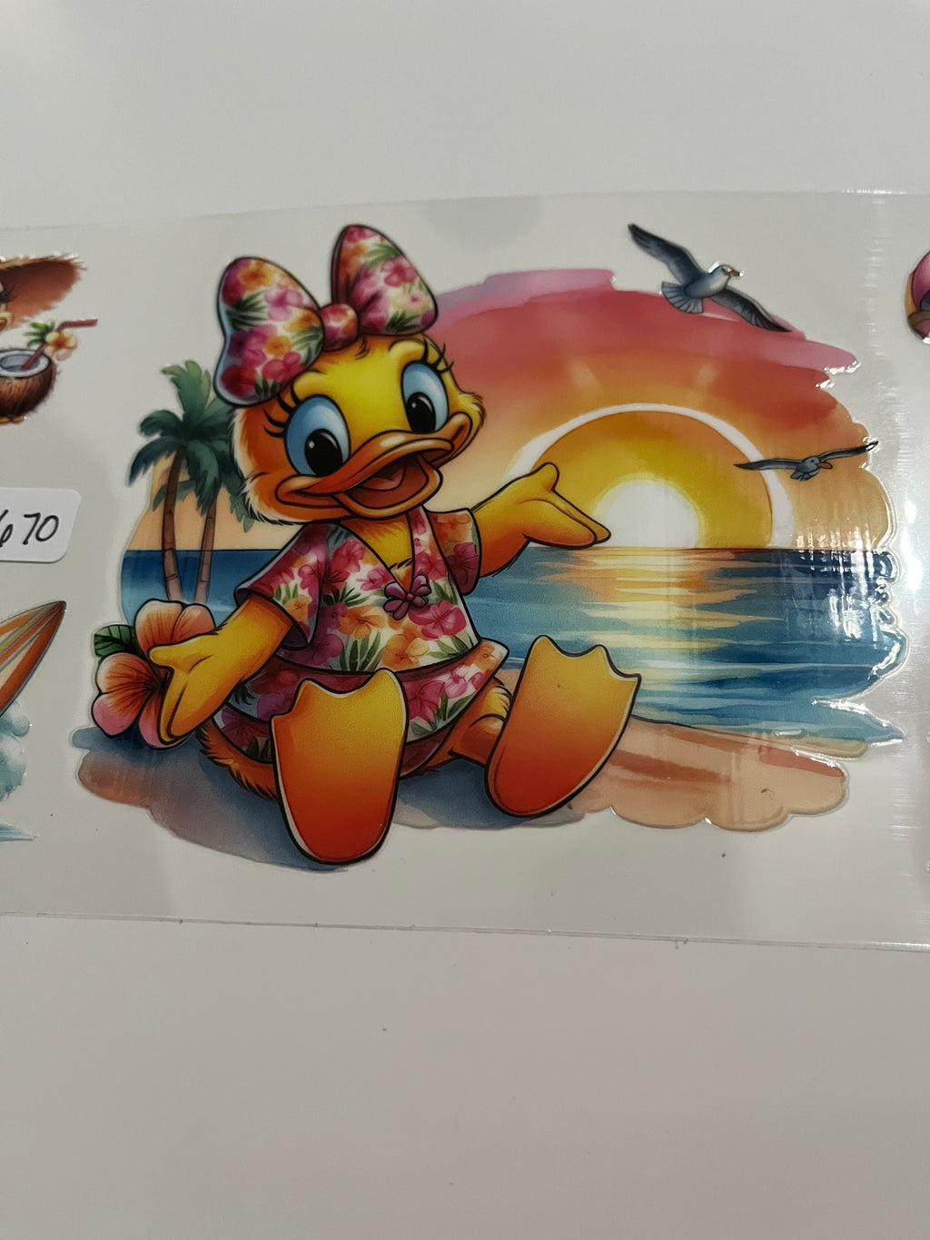 Duck vacation 1670