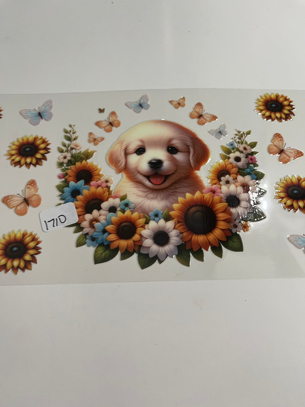 Dog flowers 1710