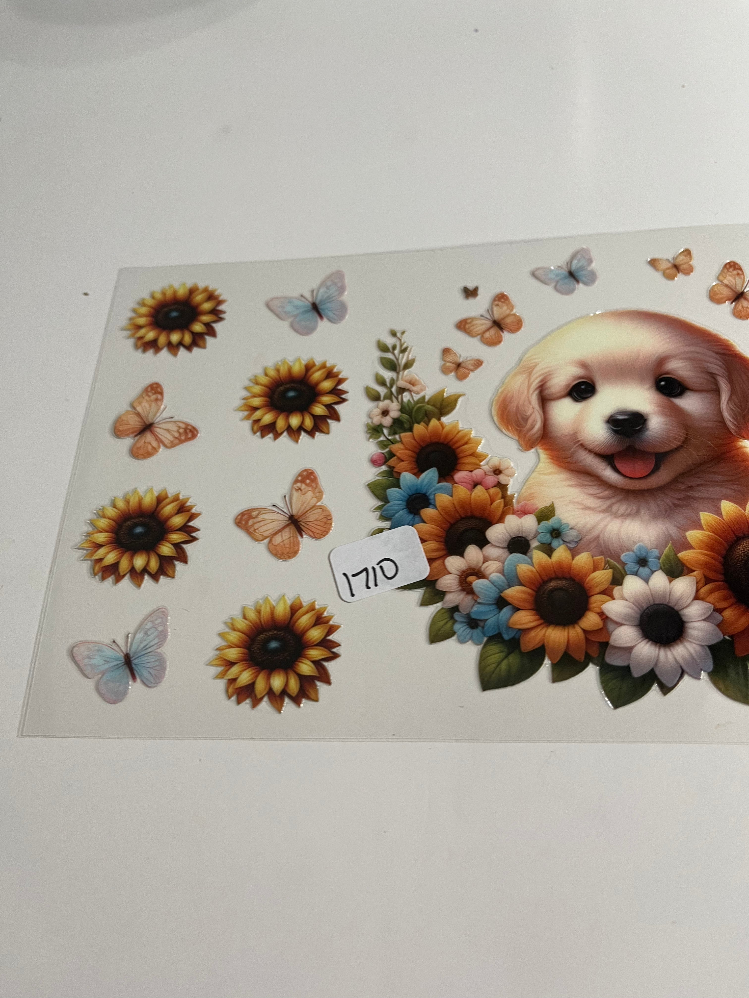 Dog flowers 1710