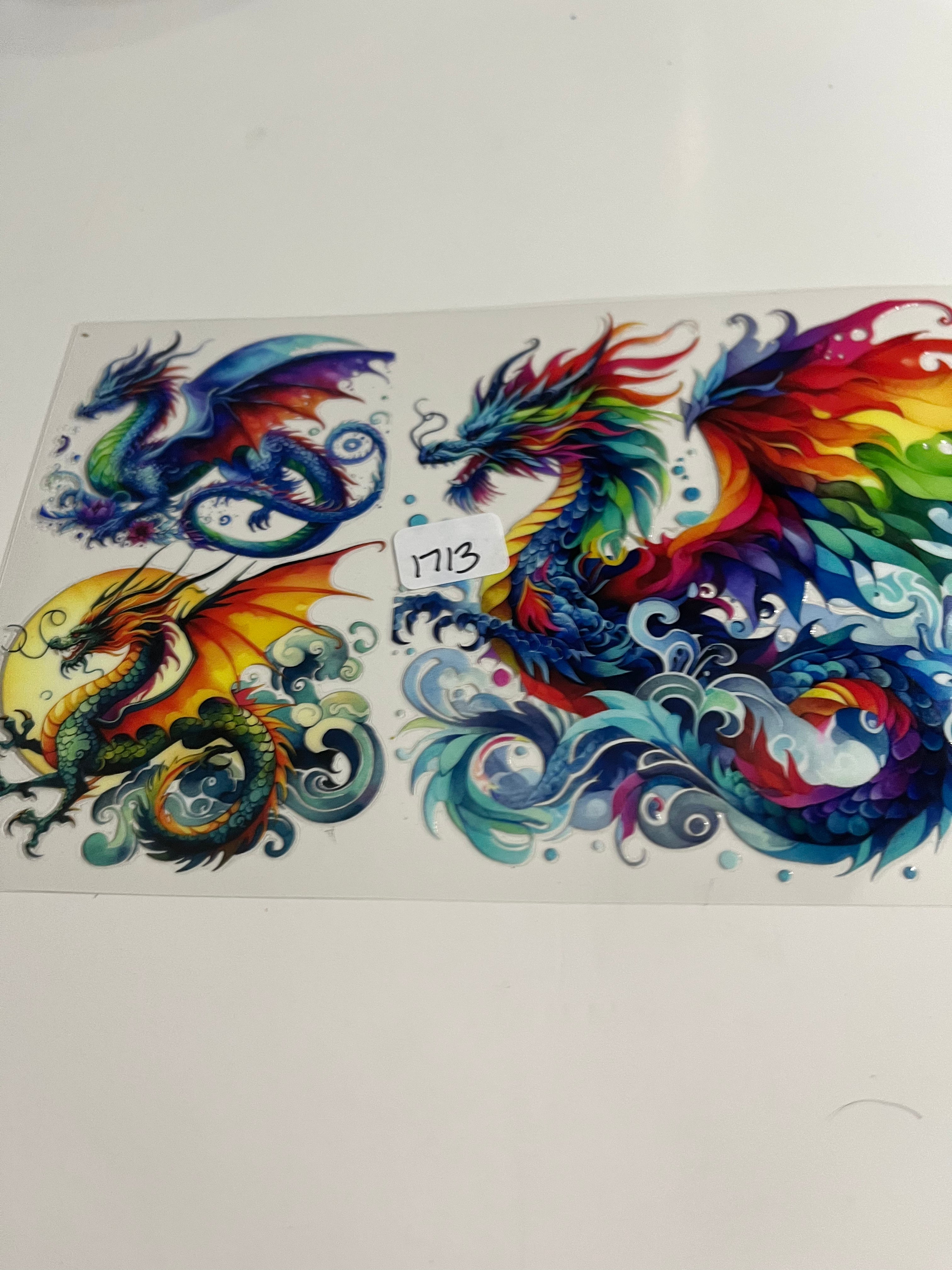 Rainbow dragon 1713