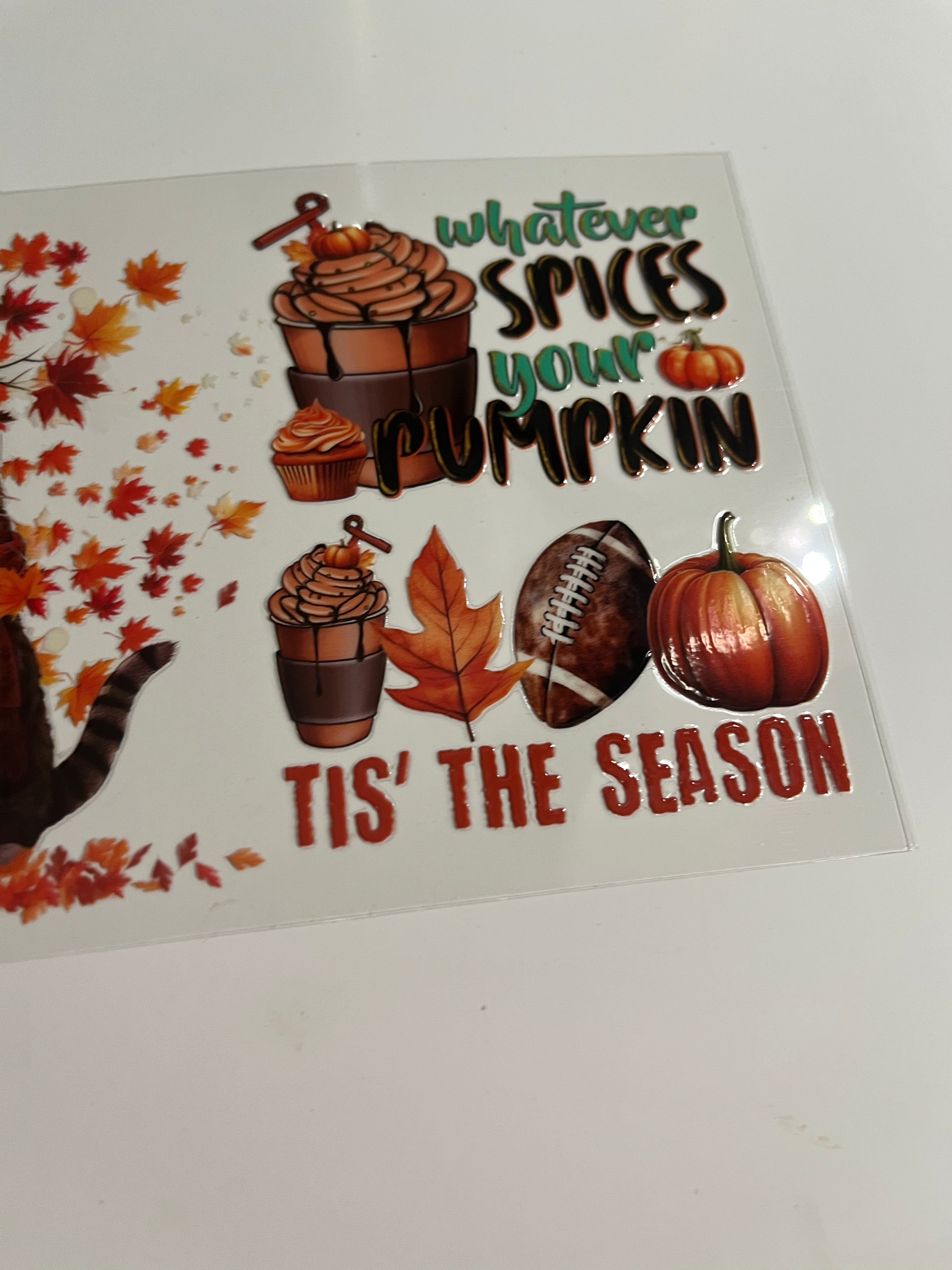 Cat fall season 1714