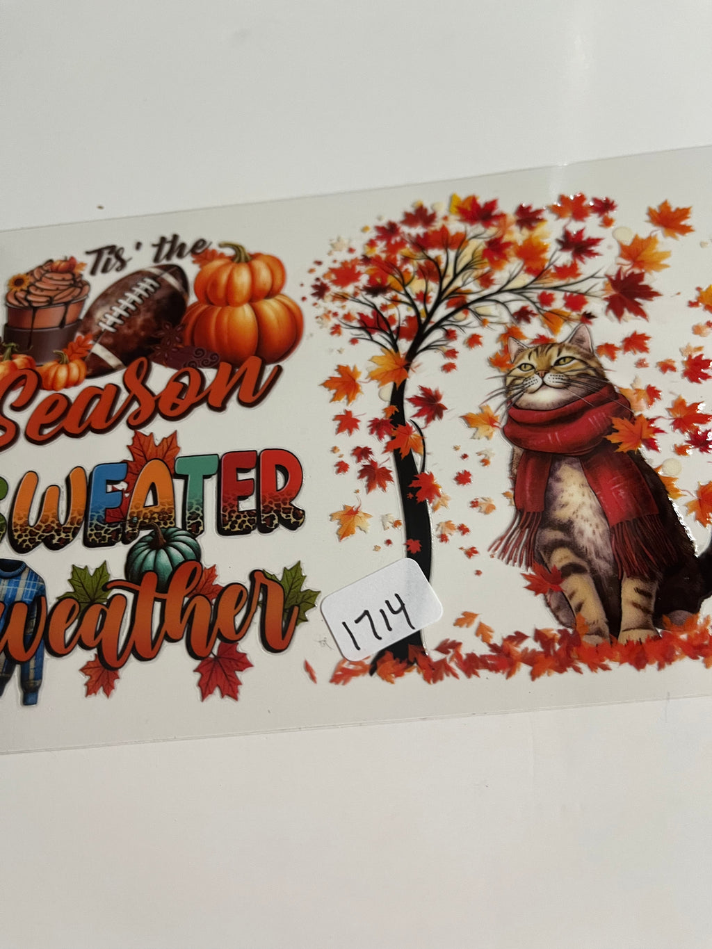 Cat fall season 1714