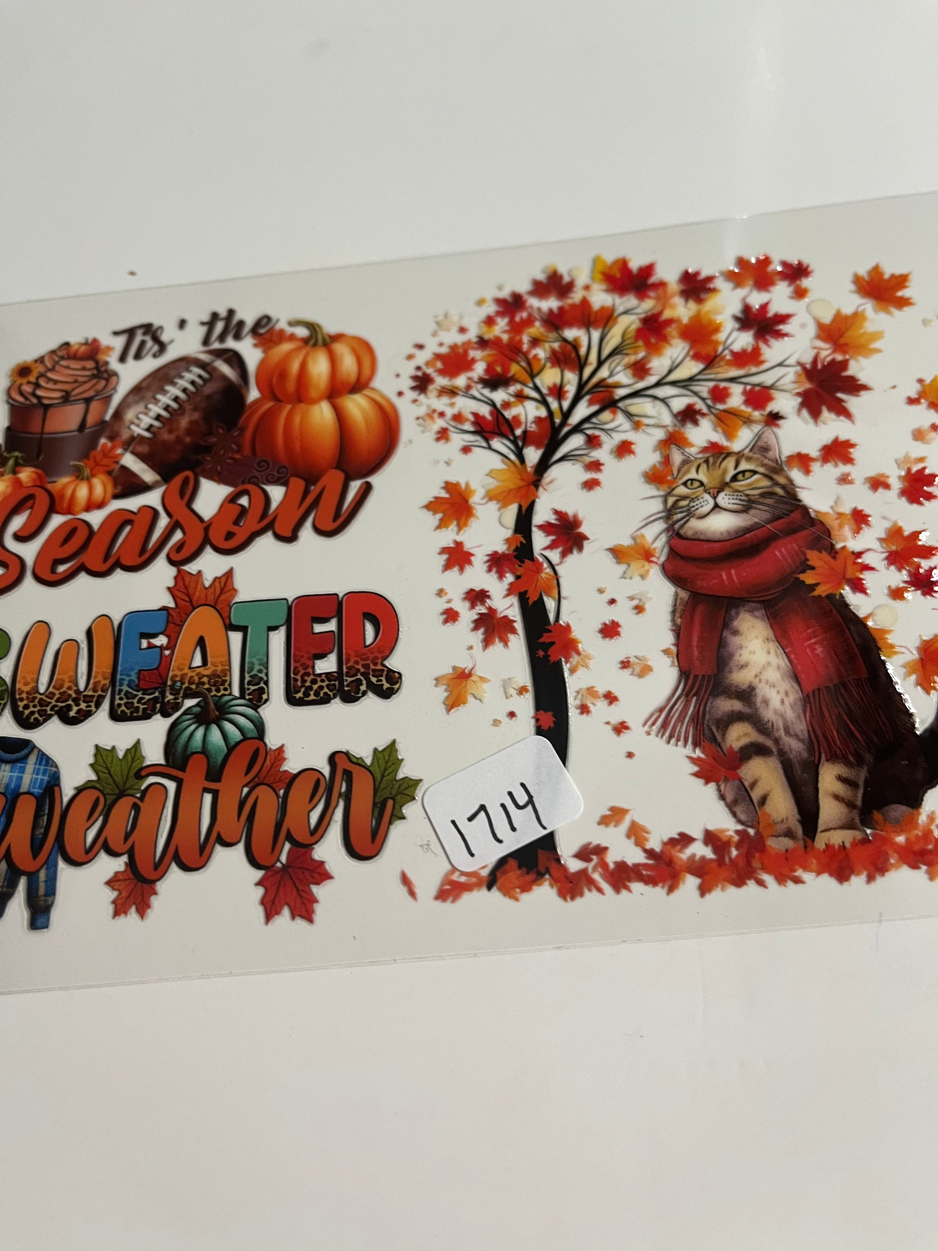 Cat fall season 1714