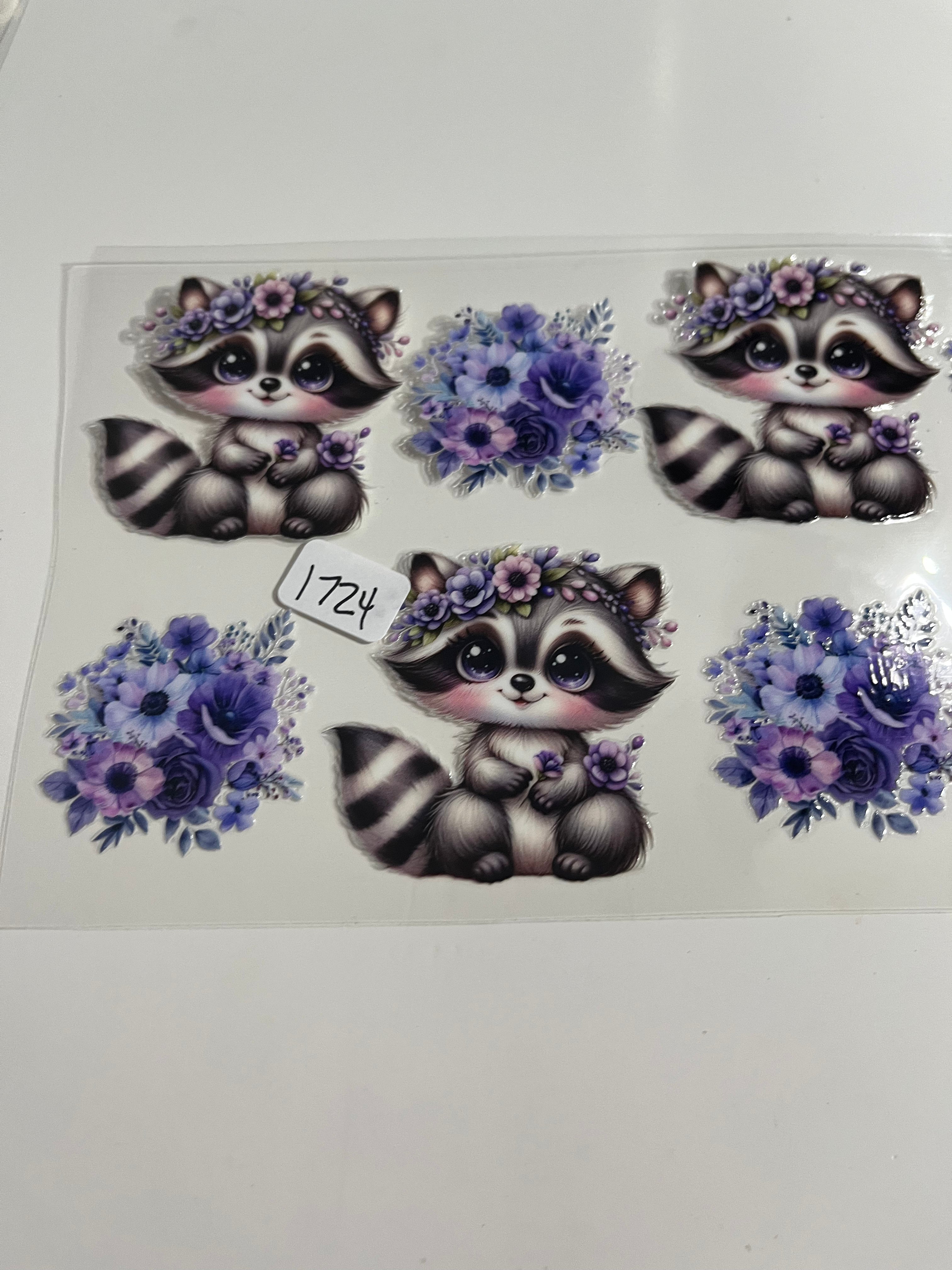 Raccoon 1724