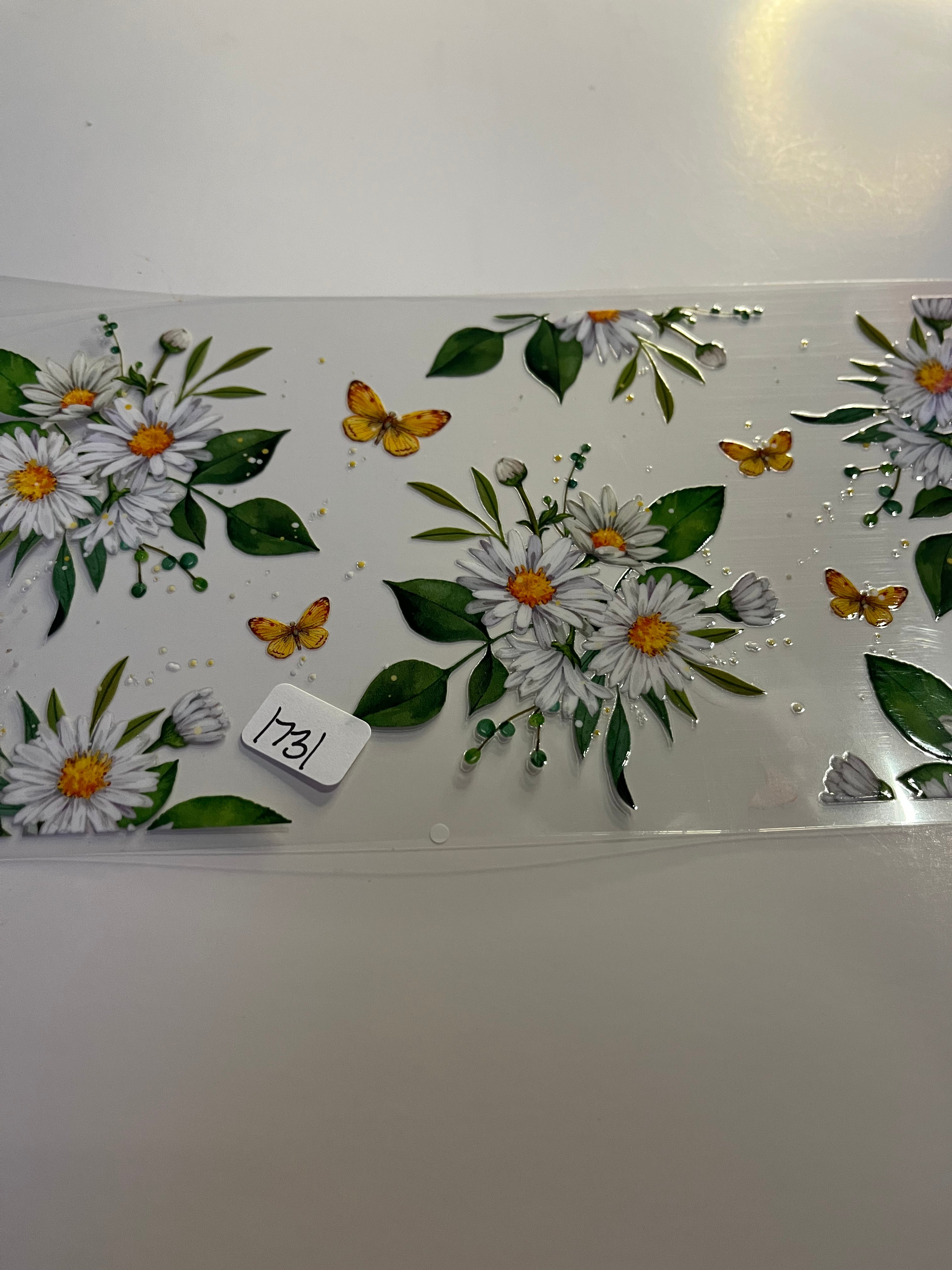 Daises 1731