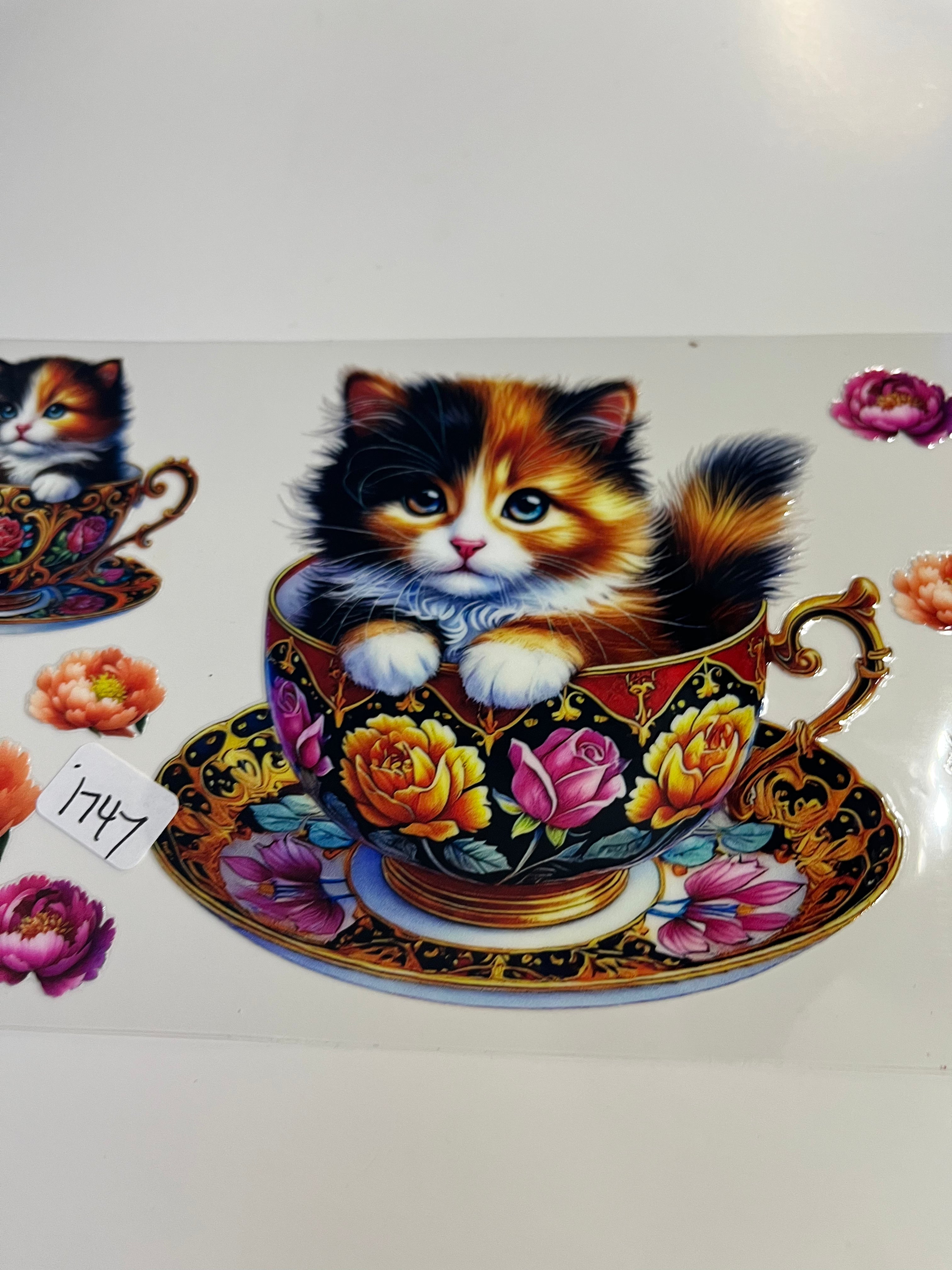 Calico 1747