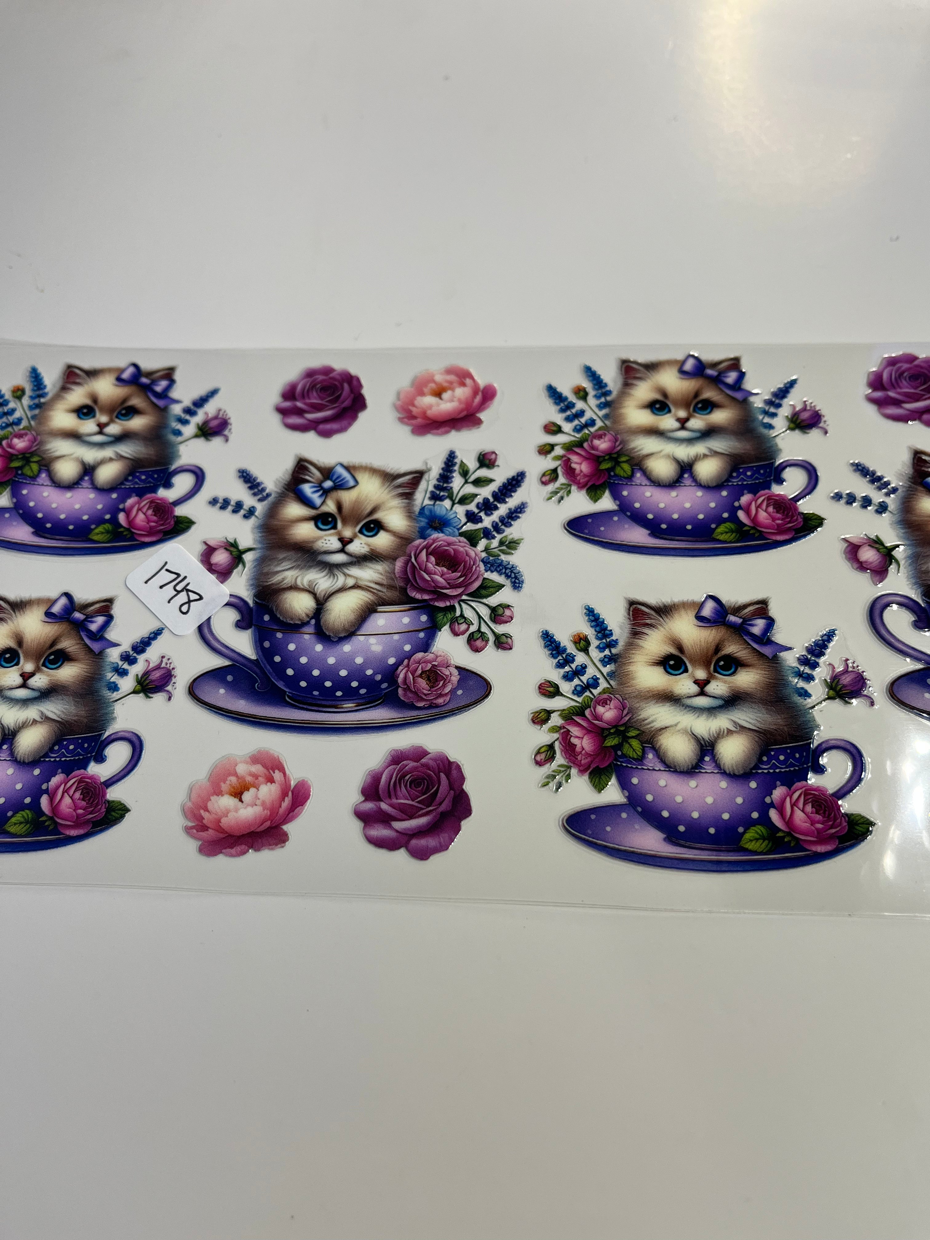 Cat with bow 1748