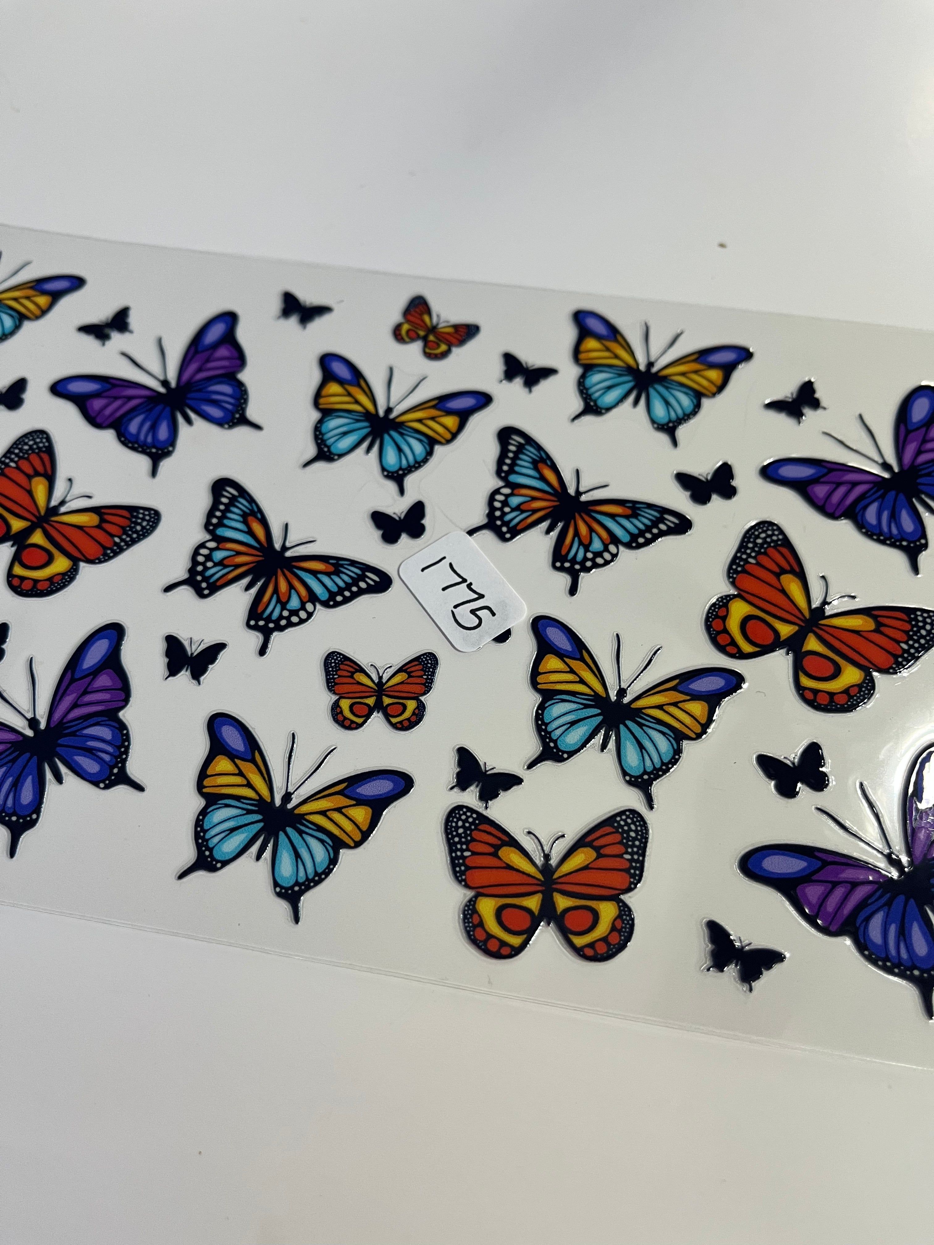 Butterfly 1775