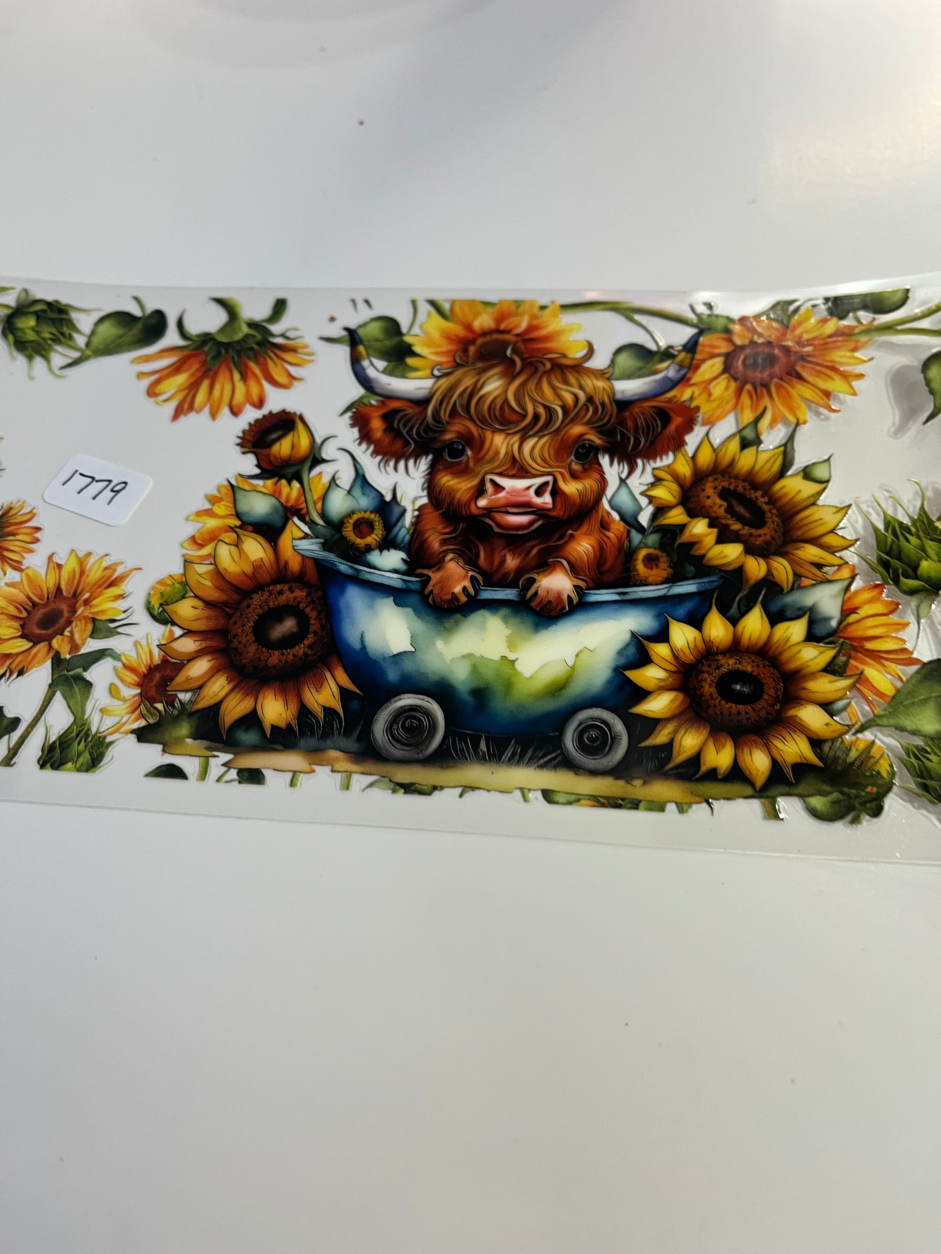 Cow sunflower 1779